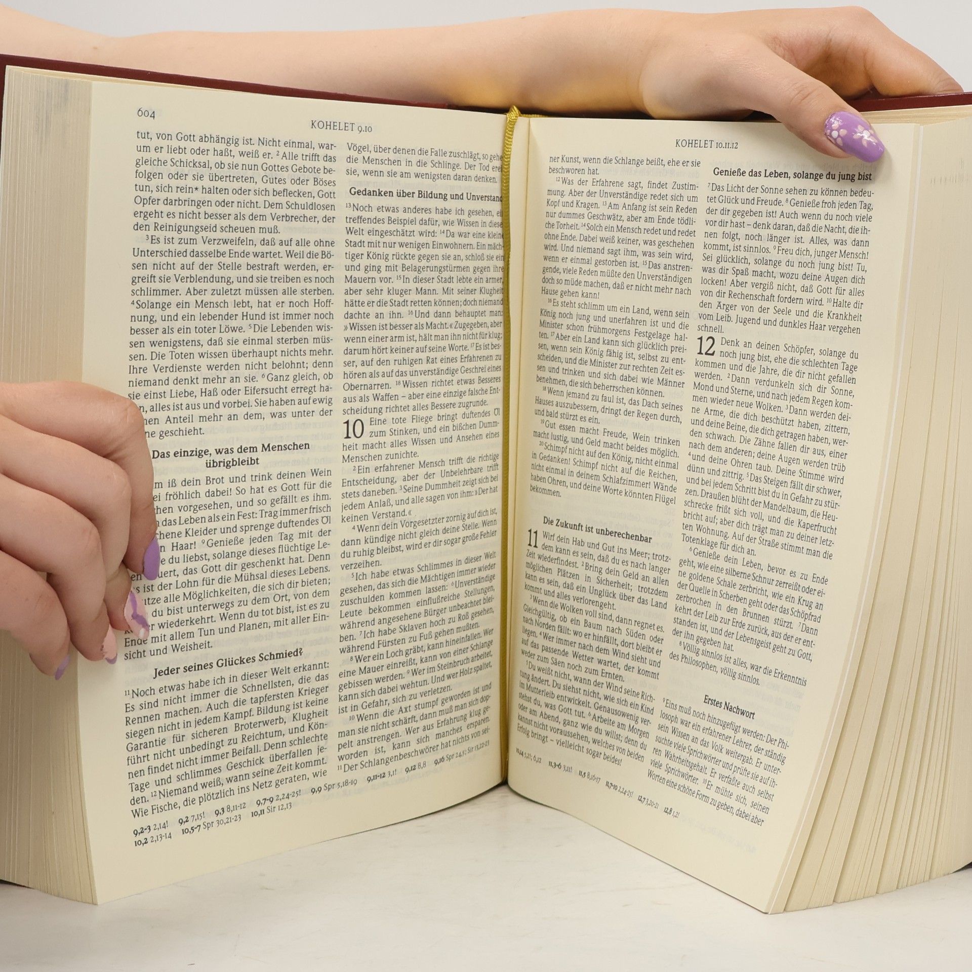Autorenkollektiv Die Bibel. Die Gute Nachricht in heutigem Deutsch