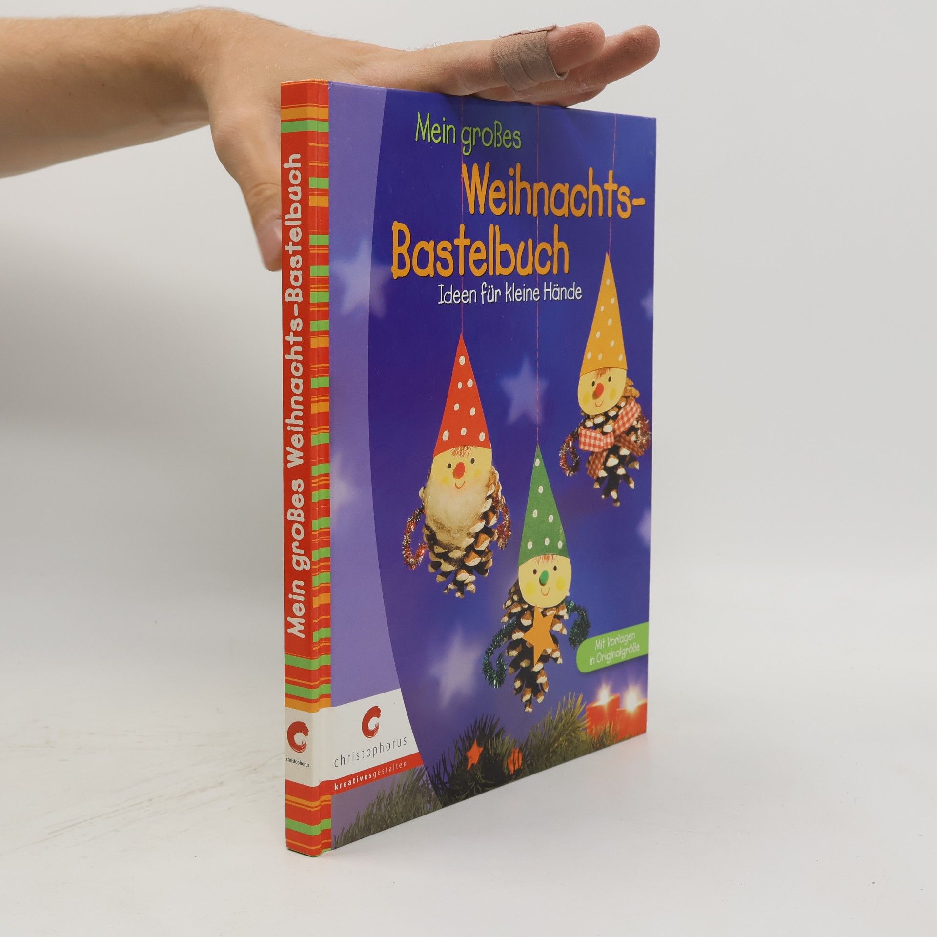Laura Blücher Mein großes Weihnachts-Bastelbuch