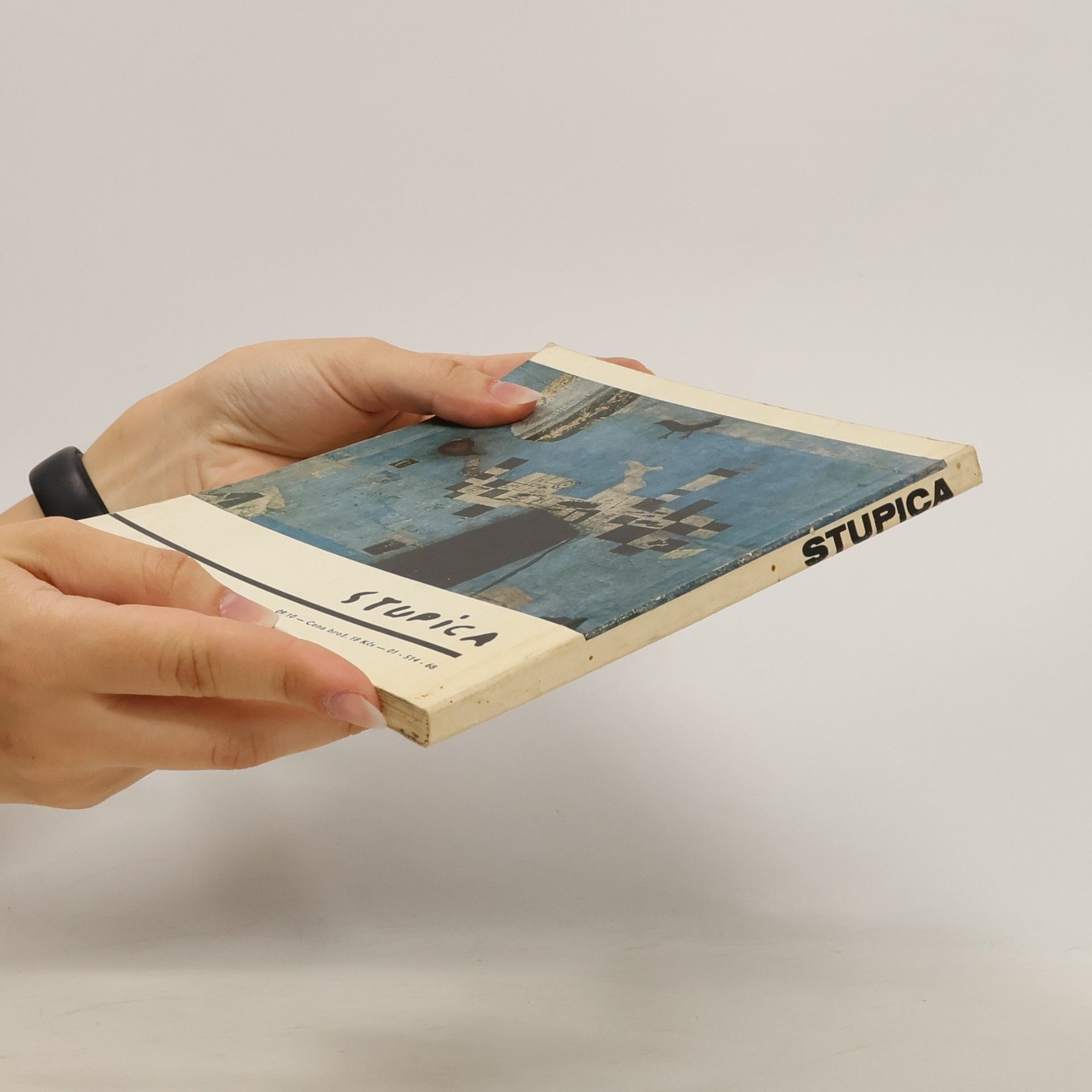 Collectif d'auteurs Stupica