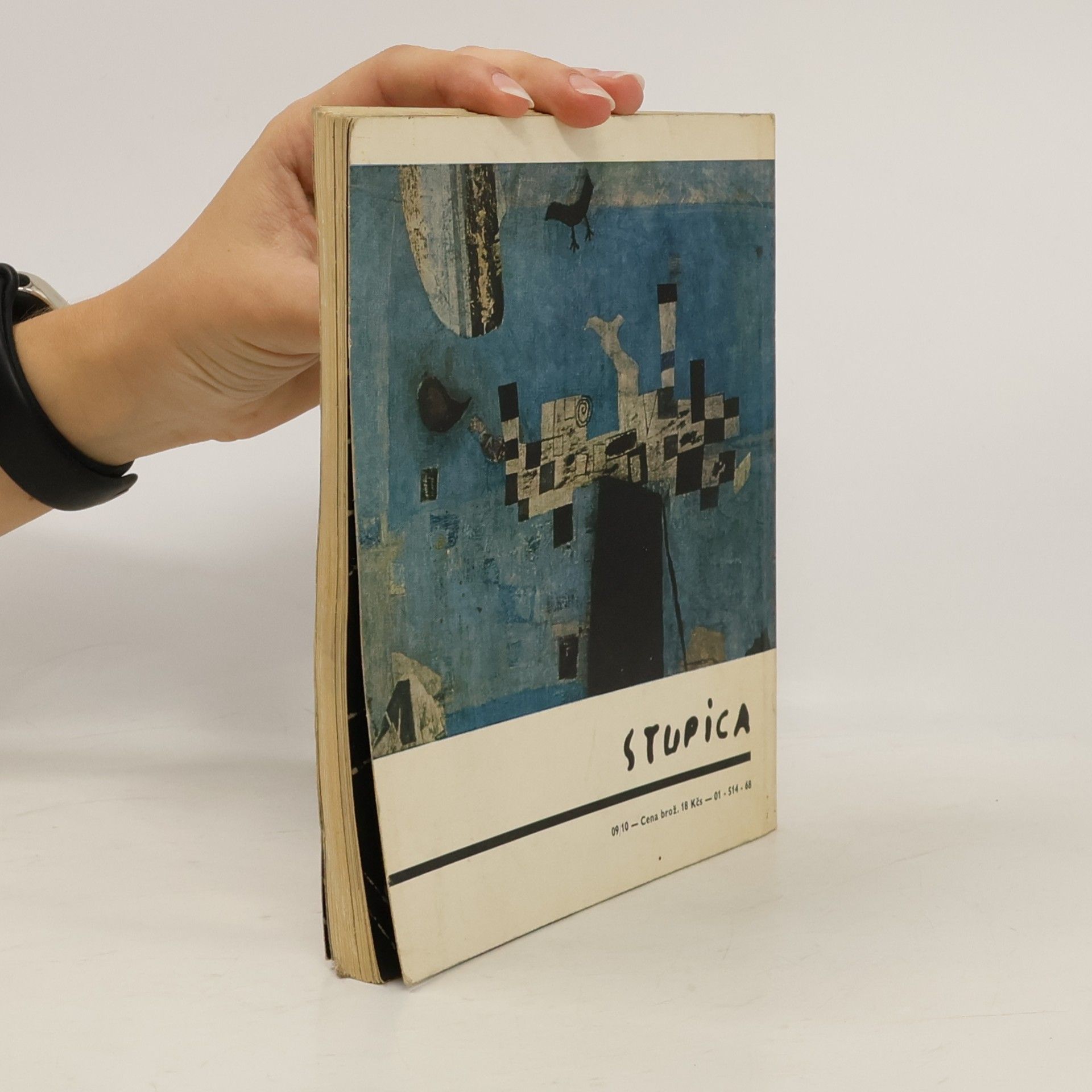 Collectif d'auteurs Stupica