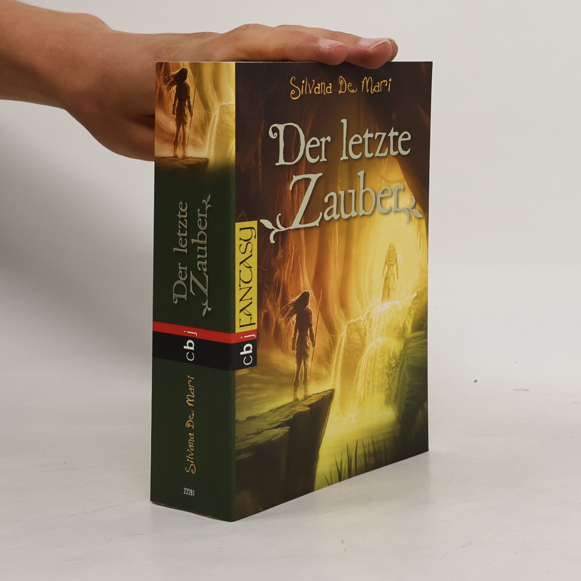 Silvana De Mari Der letzte Zauber