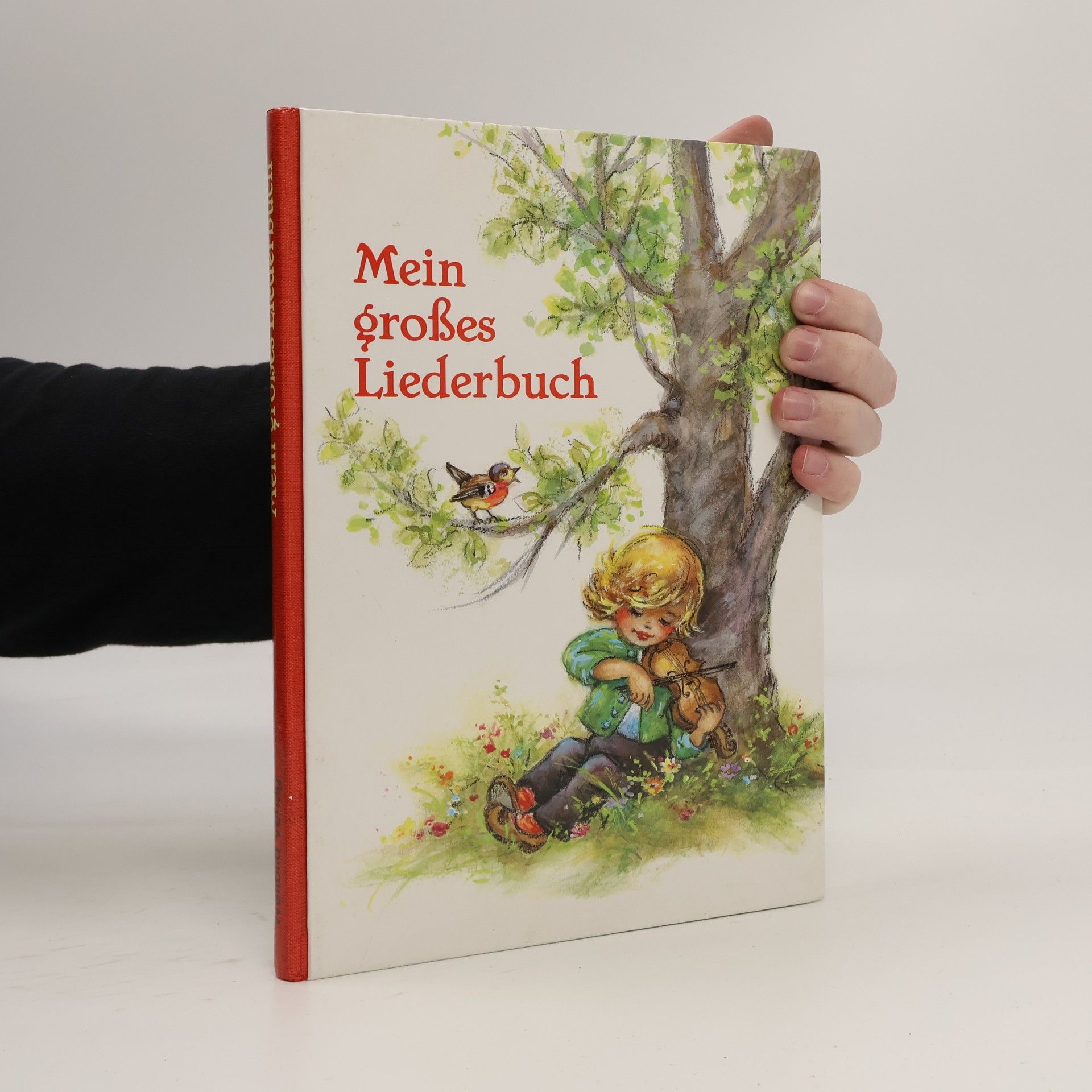 Lore Hummel Mein großes Liederbuch. Illustrationen Lore Hummel