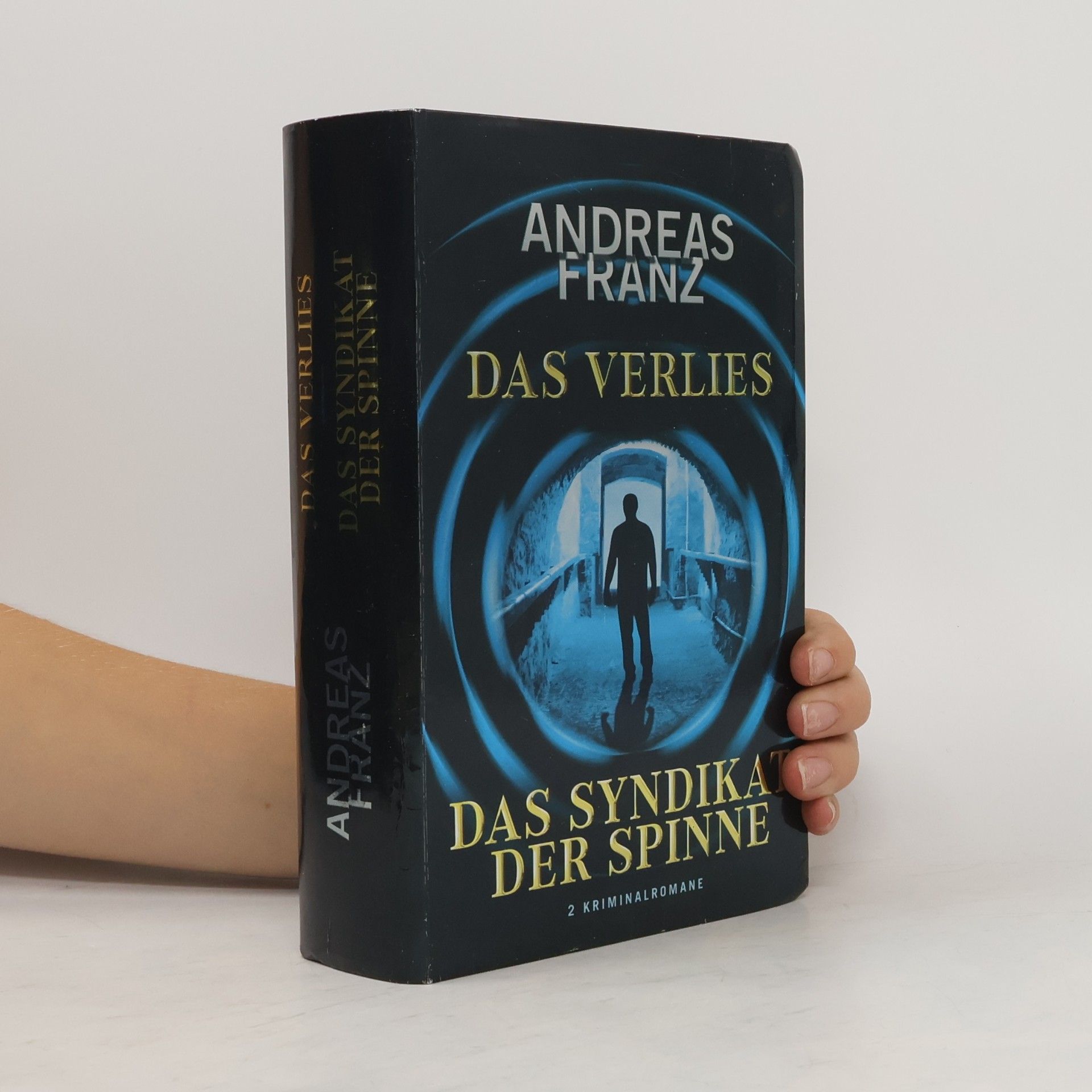 Andreas Franz Das Verlies. Das Syndikat der Spinne