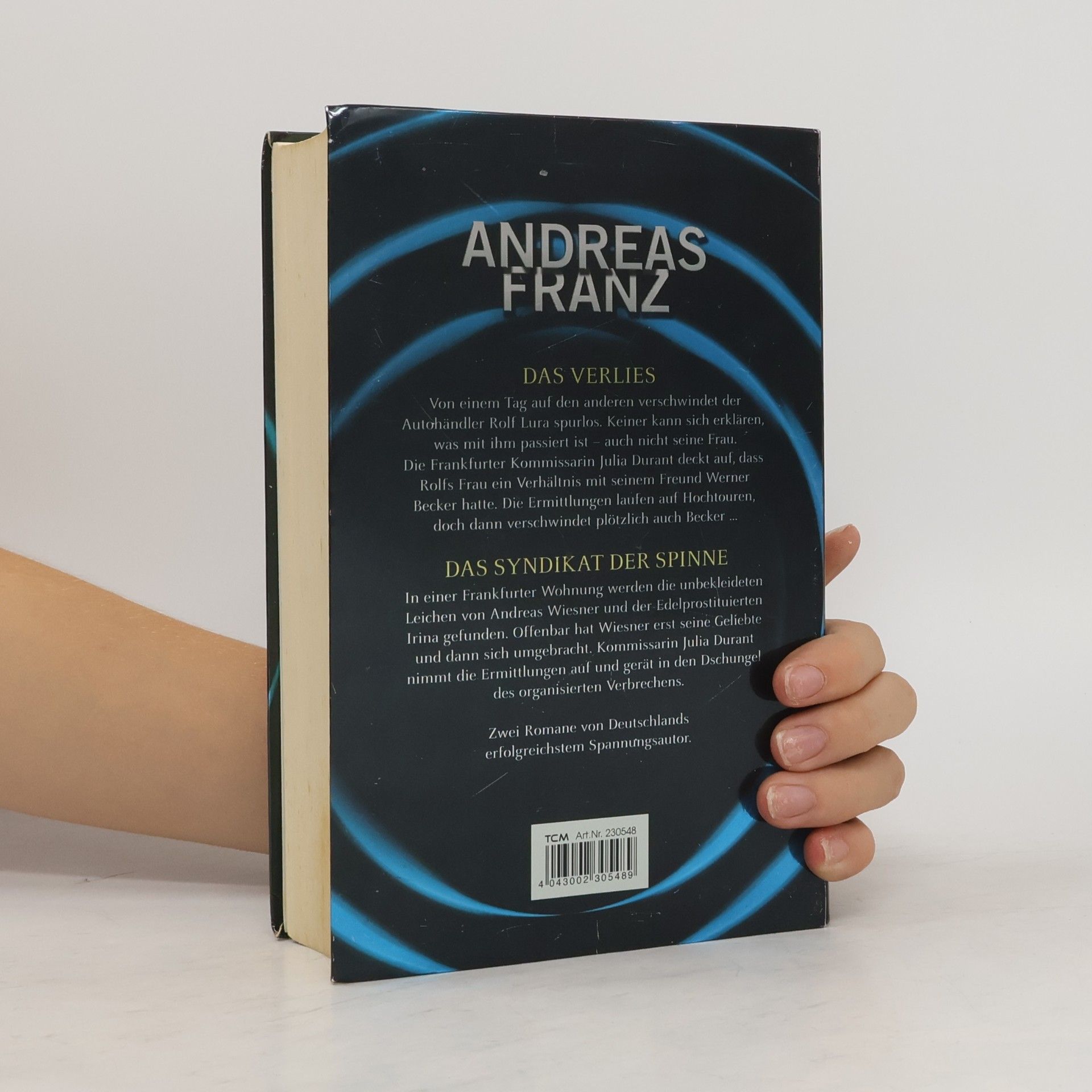 Andreas Franz Das Verlies. Das Syndikat der Spinne