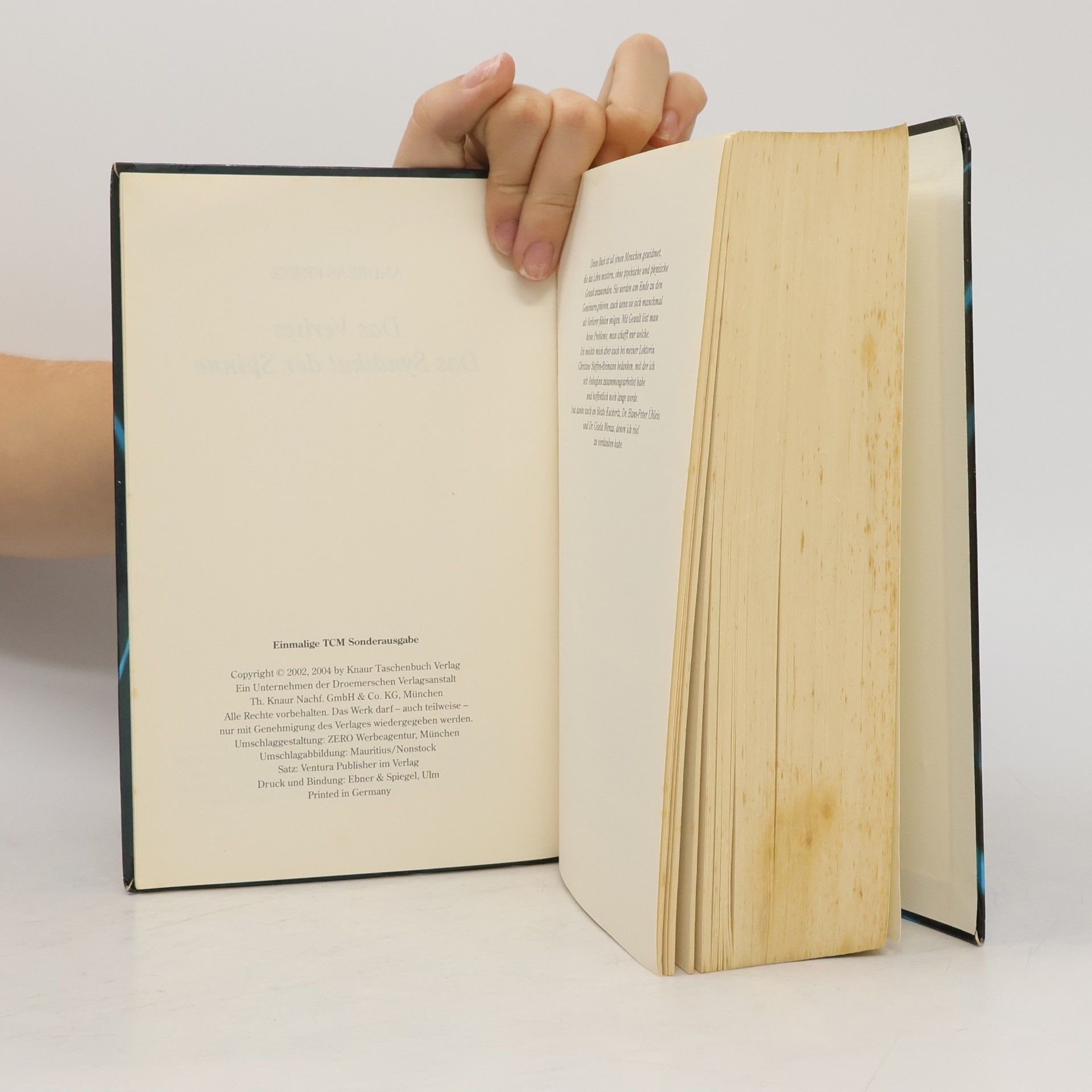 Andreas Franz Das Verlies. Das Syndikat der Spinne