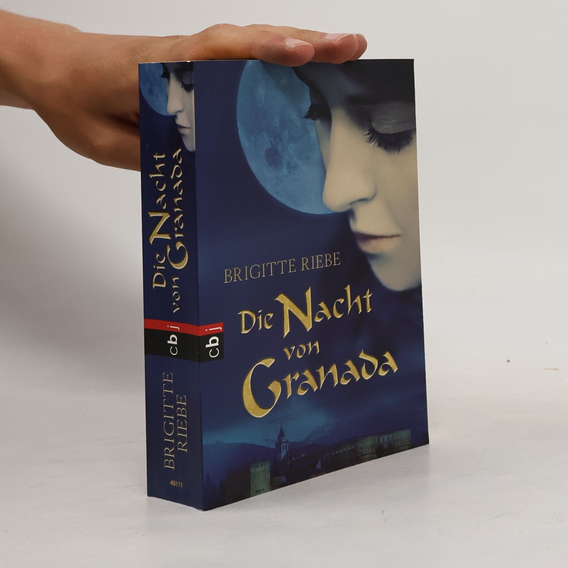 Brigitte Riebe Die Nacht von Granada