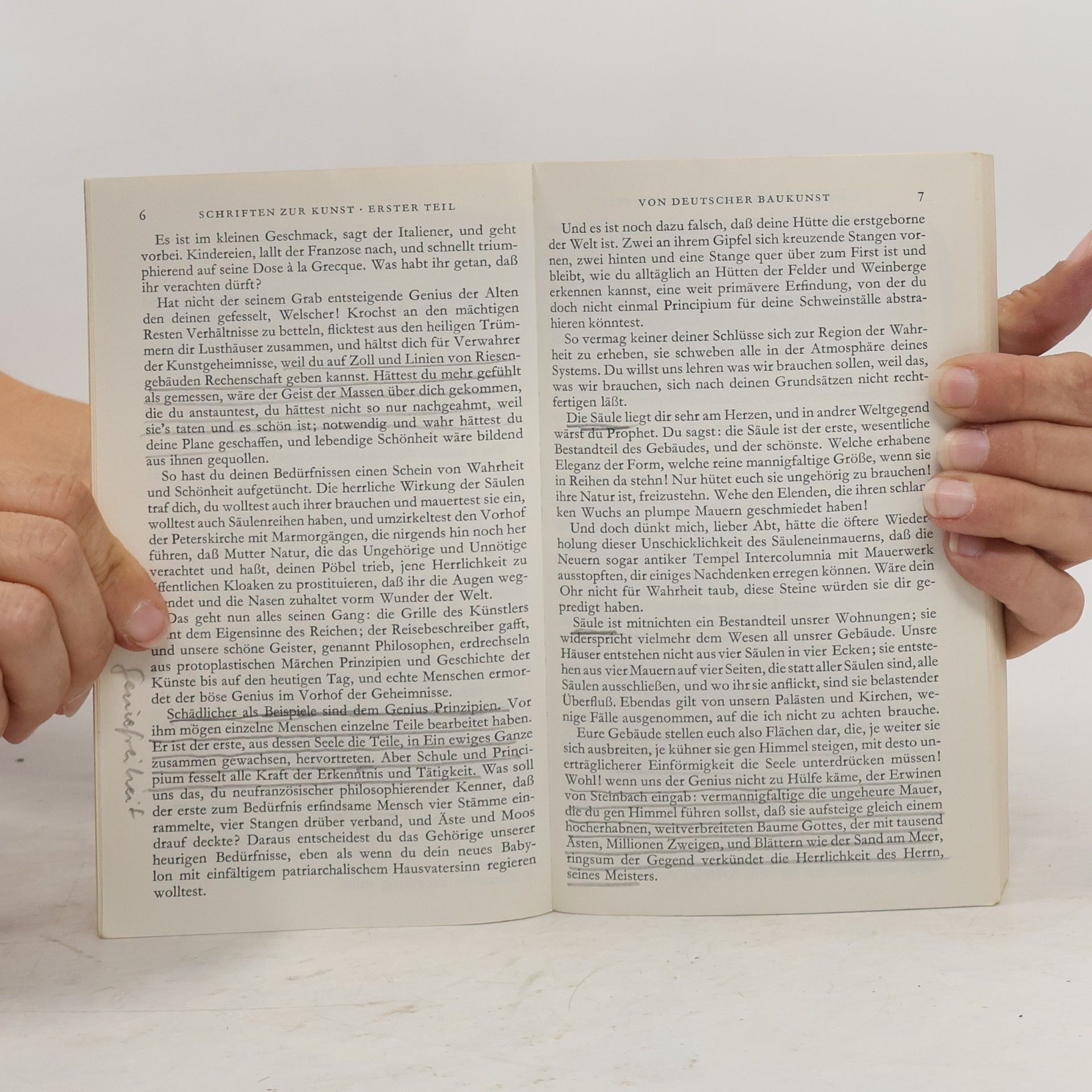 Johann Wolfgang von Goethe Schriften zur Literatur. Erster Teil