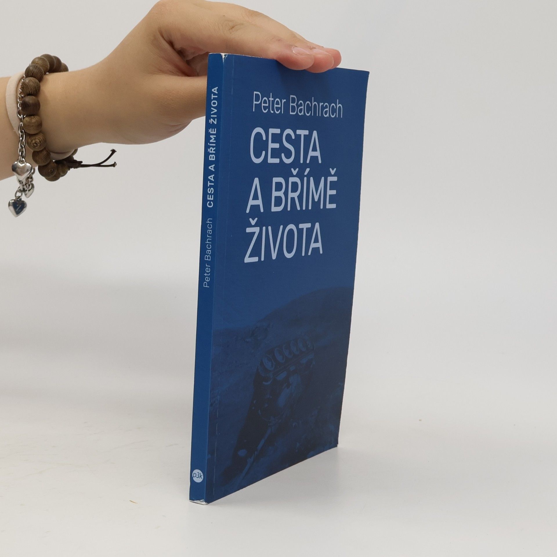 Peter Bachrach Cesta a břímě života