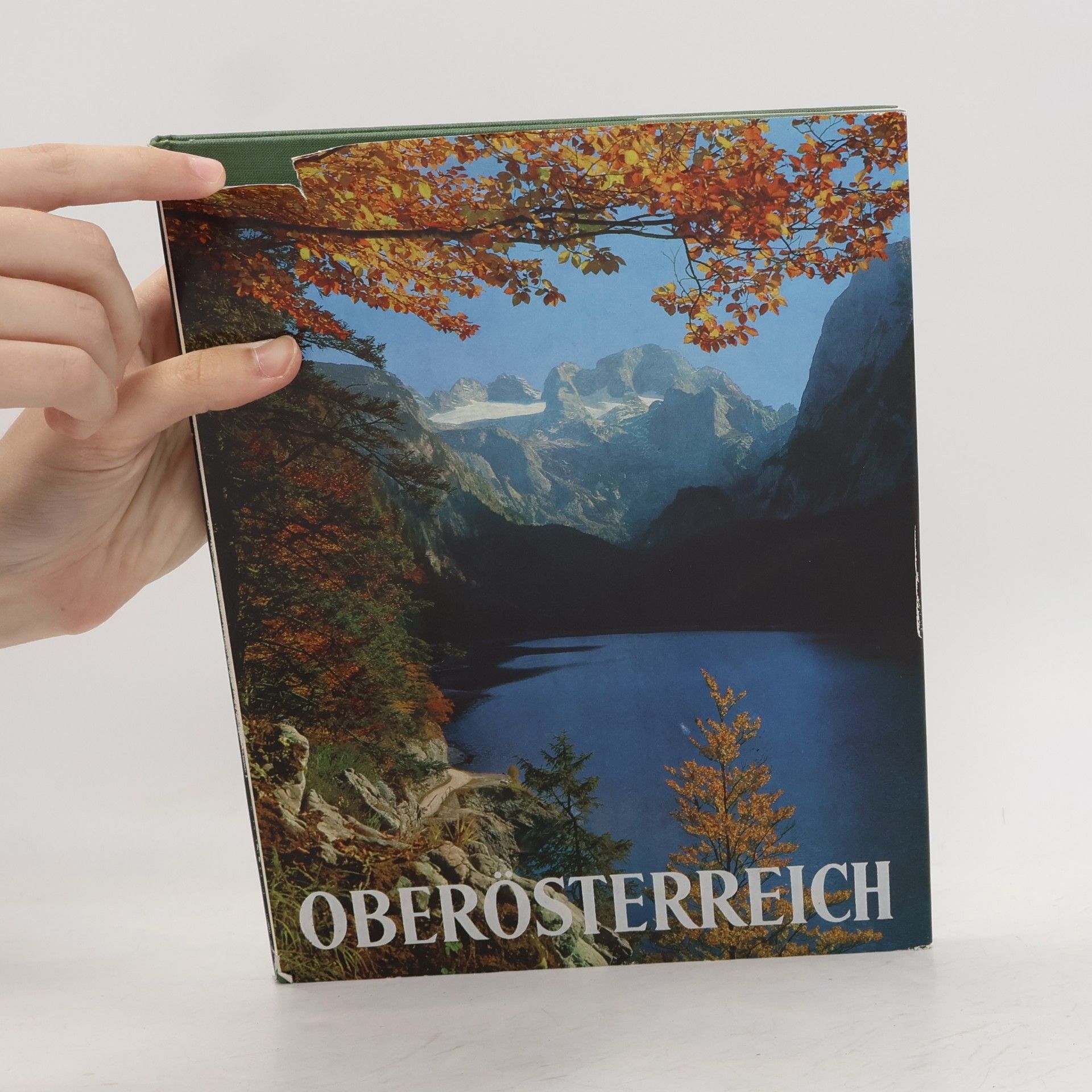 Collectif d'auteurs Oberösterreich