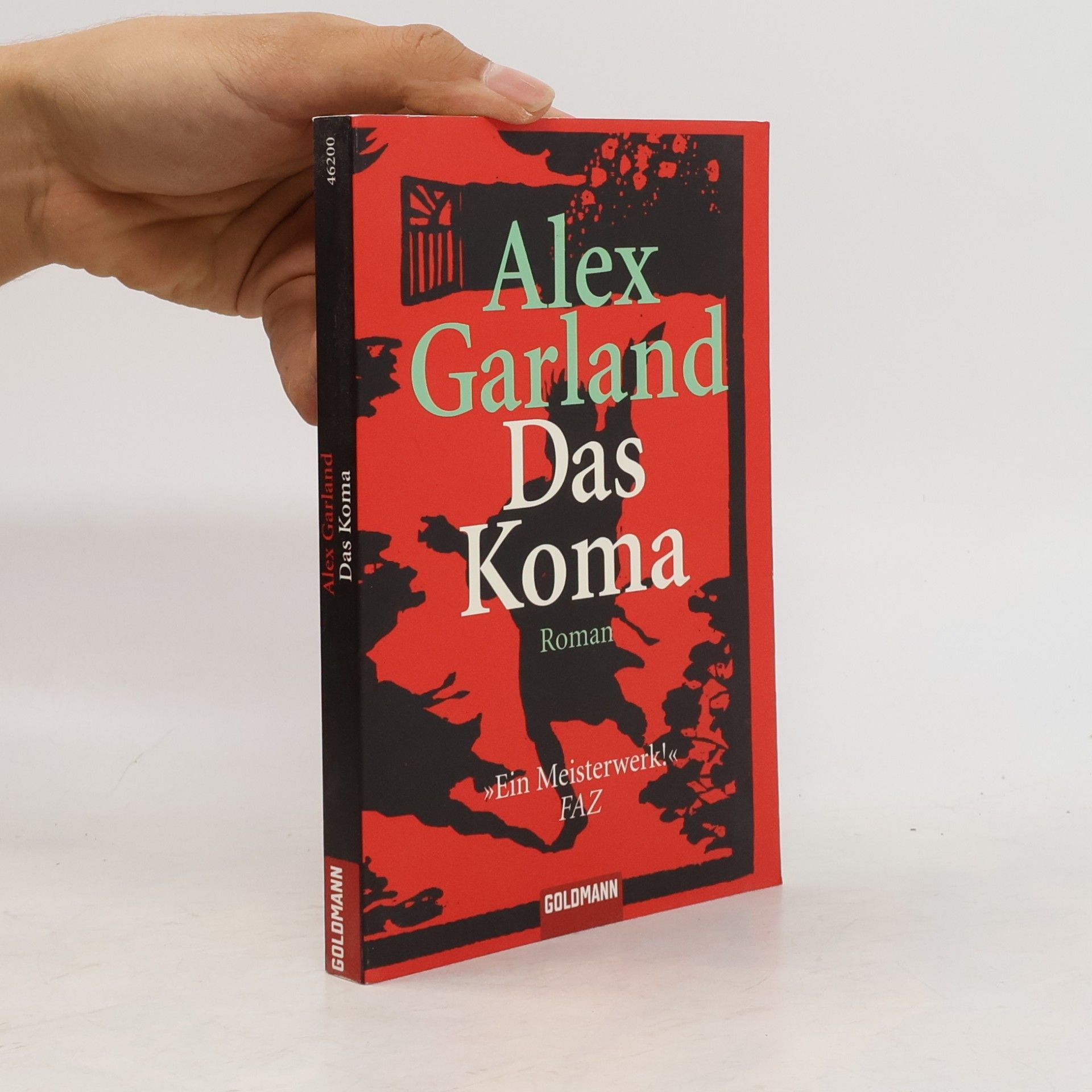 Alex Garland Das Koma
