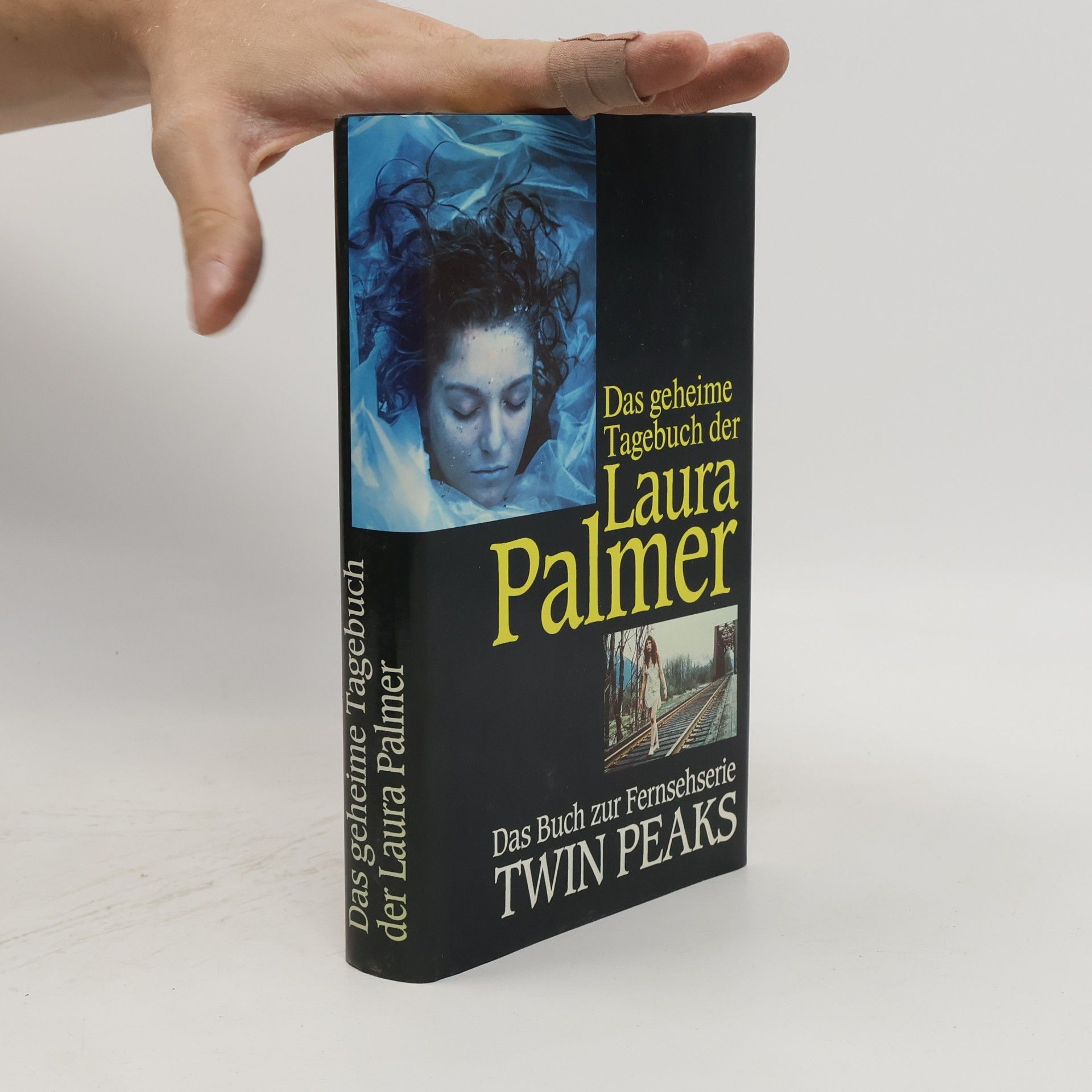 Jennifer Lynch Das geheime Tagebuch der Laura Palmer