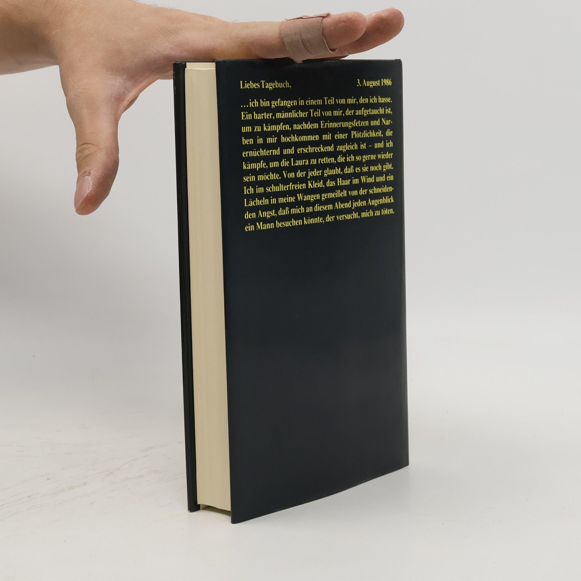 Jennifer Lynch Das geheime Tagebuch der Laura Palmer