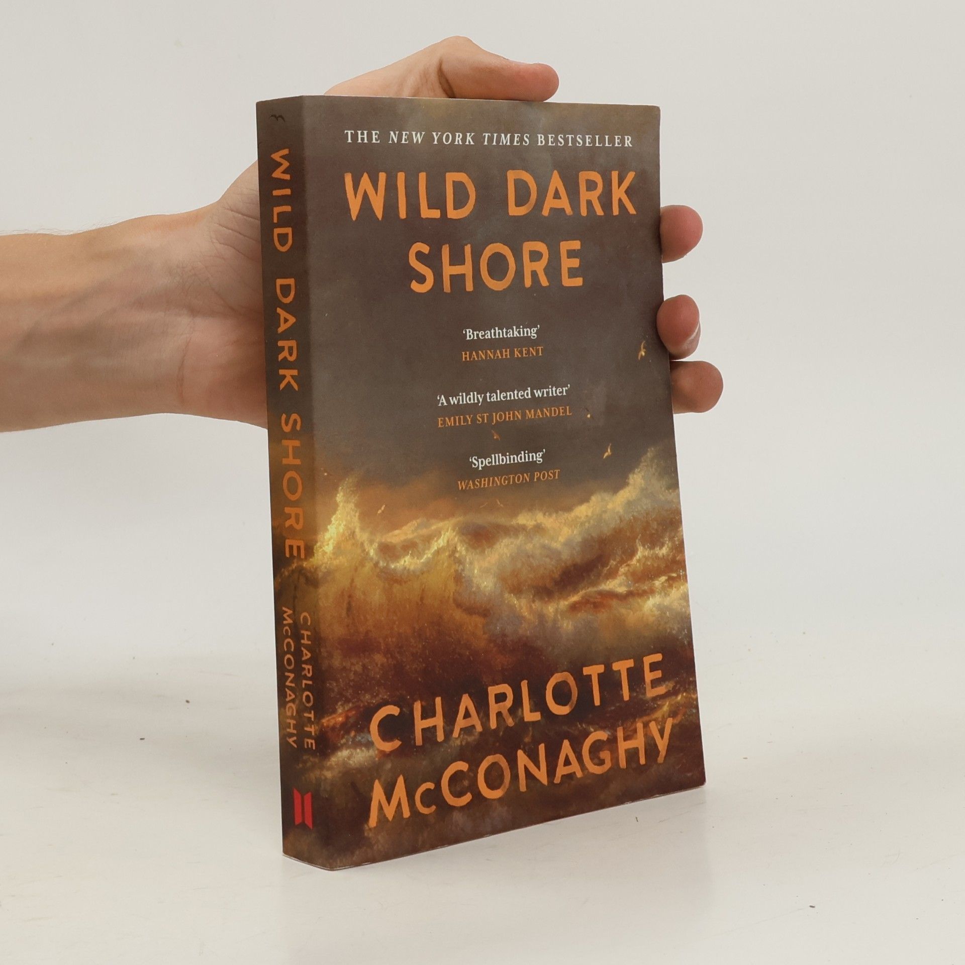 CHARLOTTE. MCCONAGHY Wild Dark Shore
