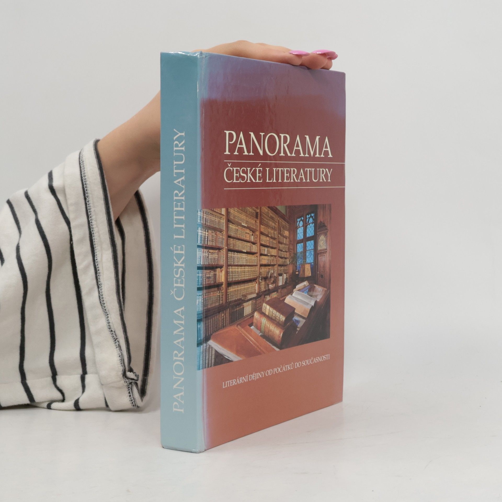 Josef Galík Panorama české literatury. Literární dějiny od počátků do současnosti