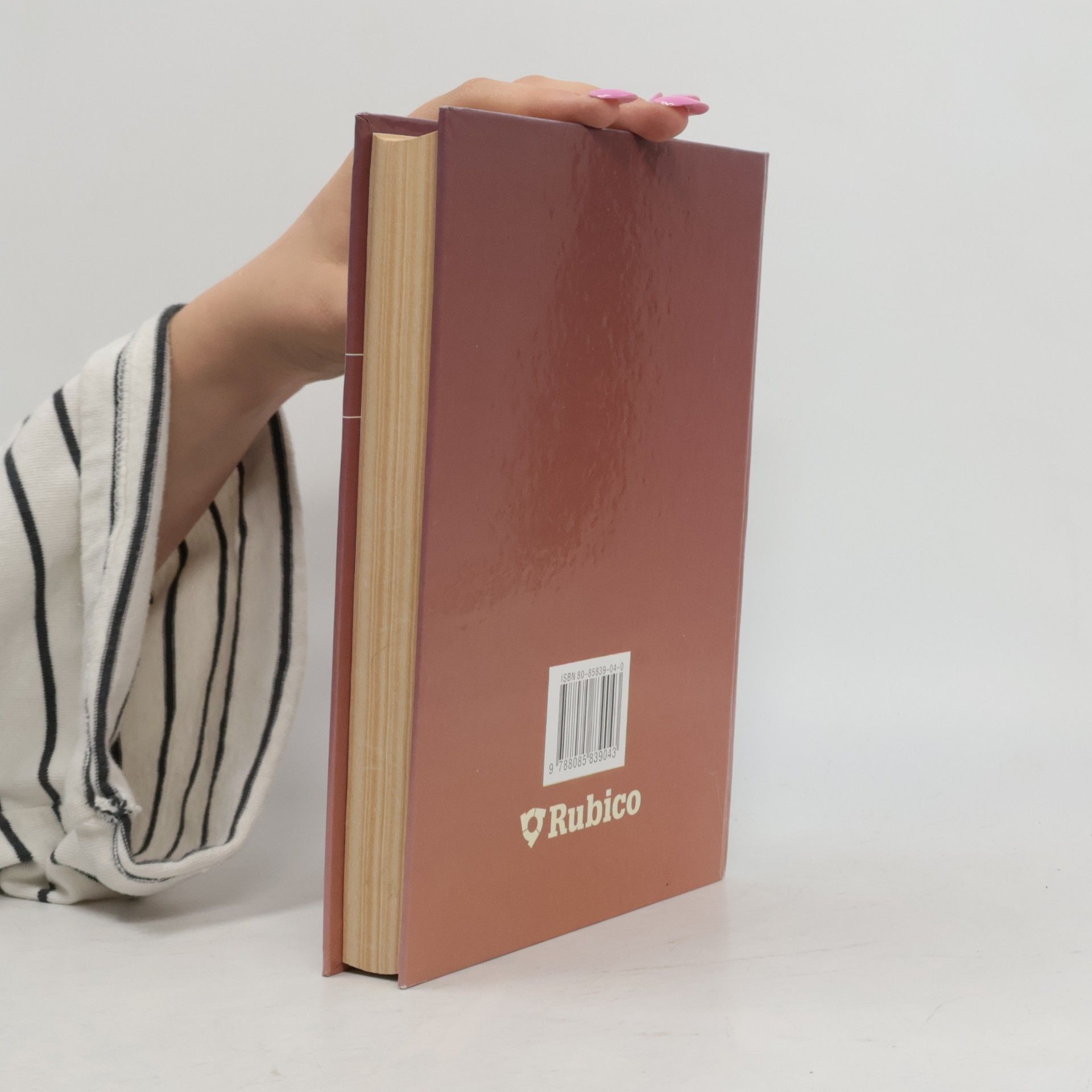 Autores varios Panorama české literatury. Literární dějiny od počátků do současnosti