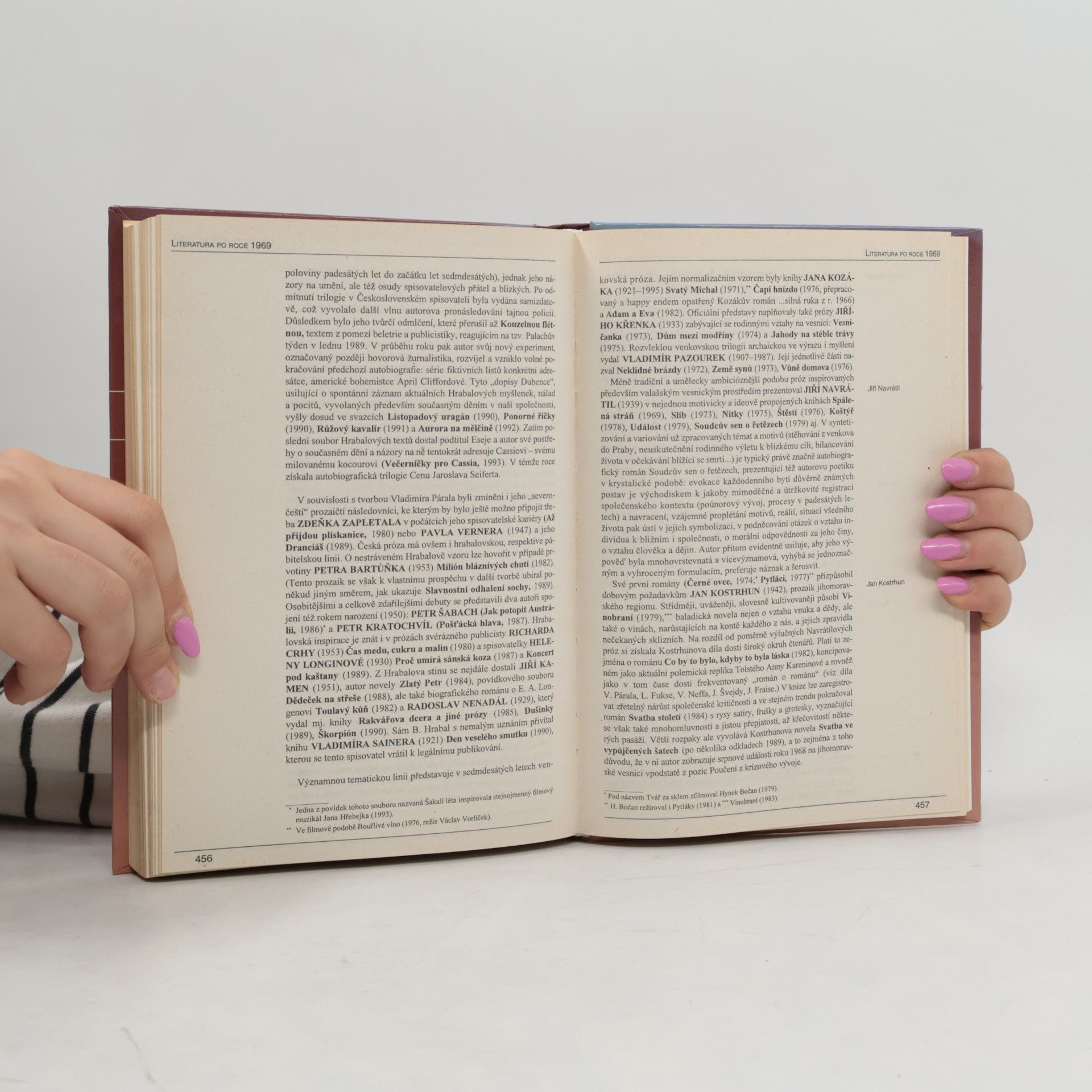Autores varios Panorama české literatury. Literární dějiny od počátků do současnosti