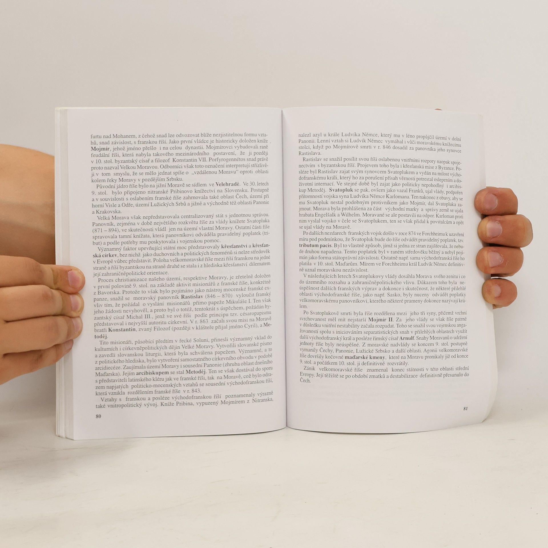 Zdeněk Veselý Přehled učiva k maturitní zkoušce z dějepisu