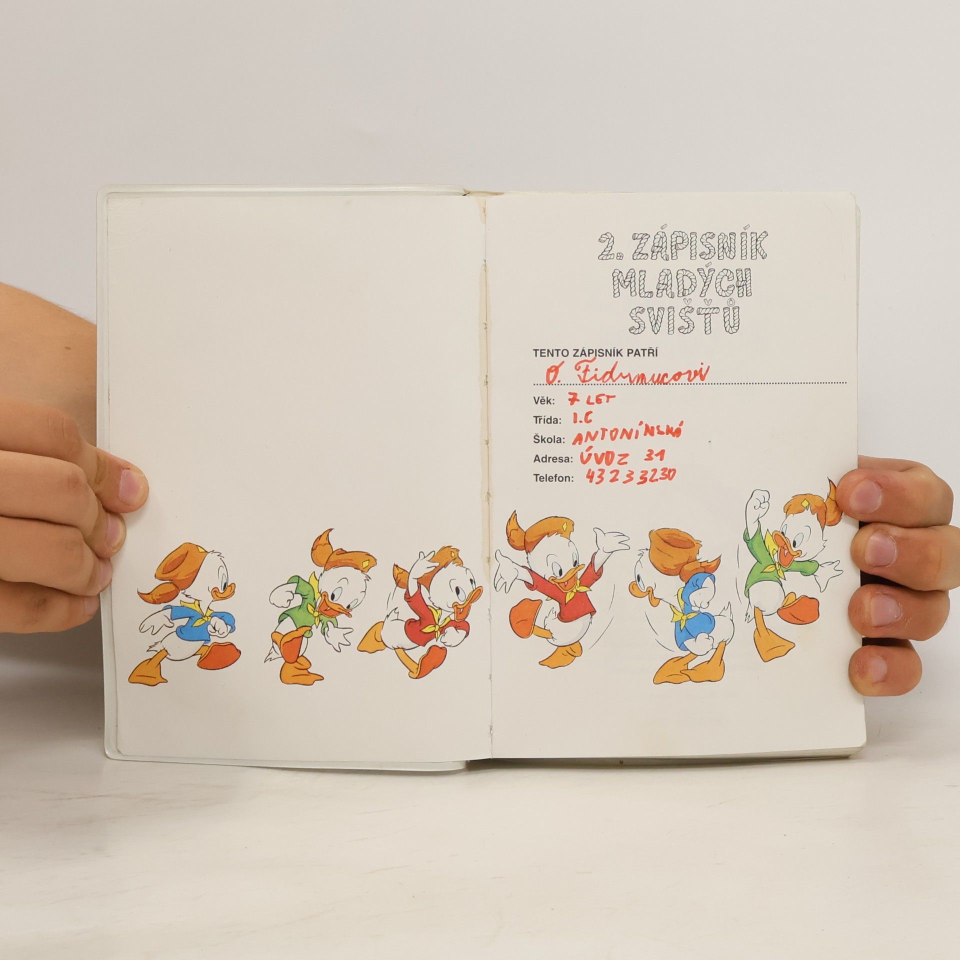 Walt Disney 2. Zápisník mladých svišťů