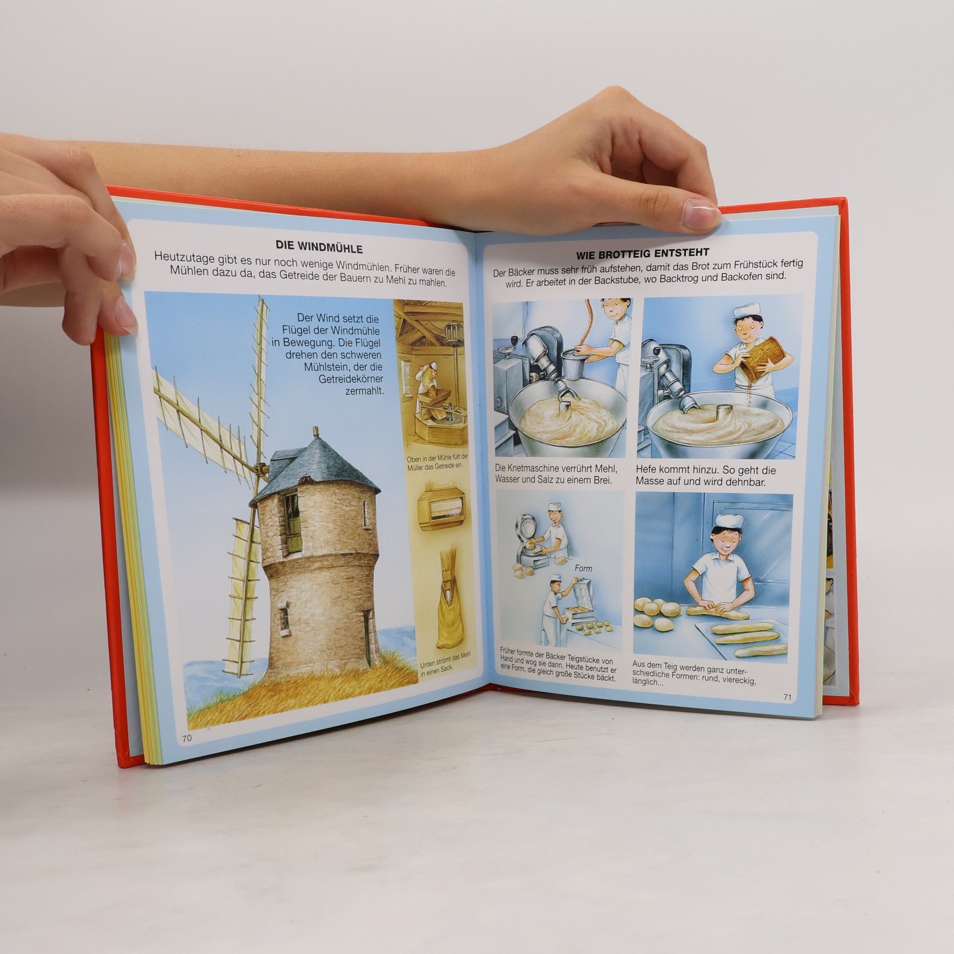 Émilie Beaumont Dein buntes Wörterbuch des Bauernhofes