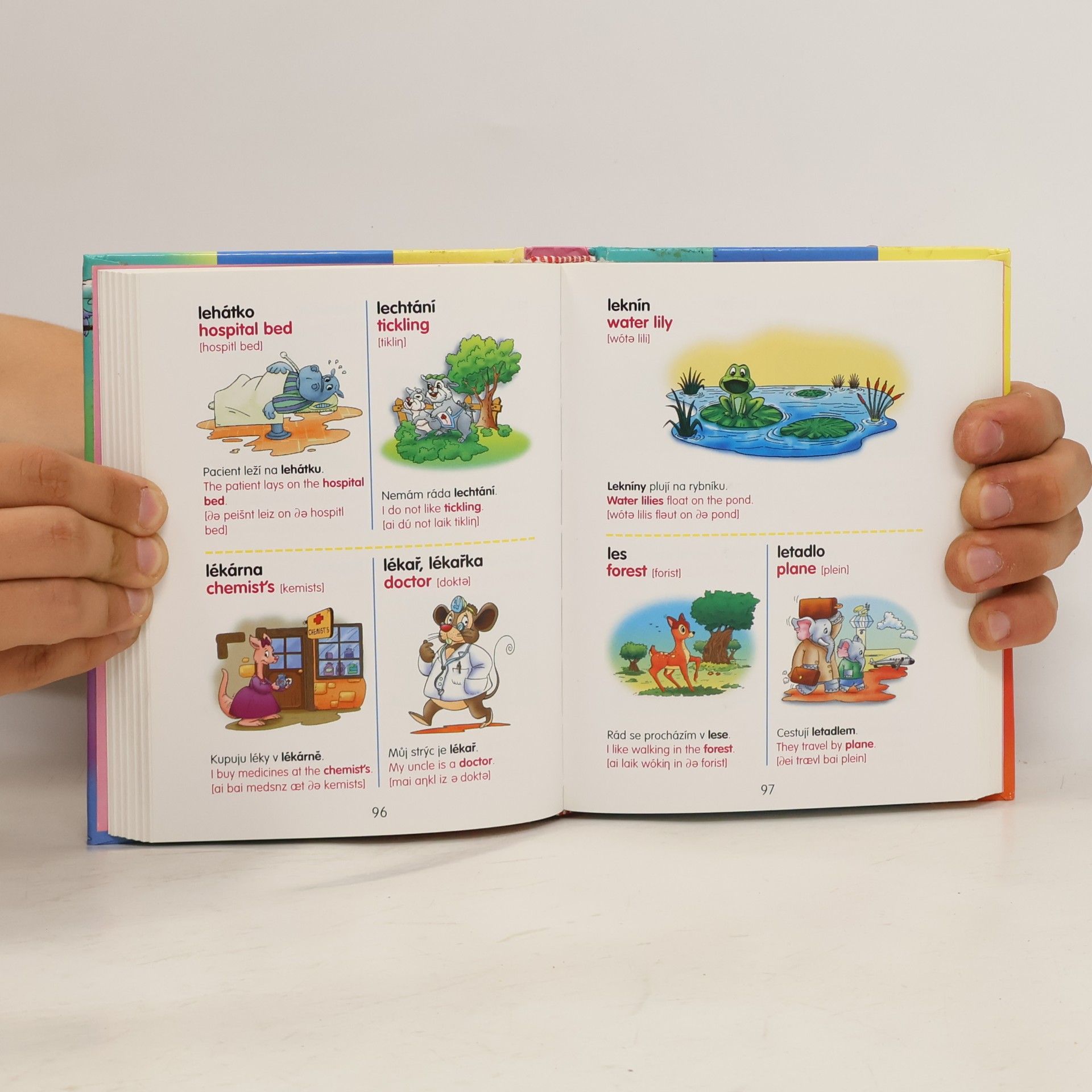 Autorenkollektiv Slovník česko-anglický