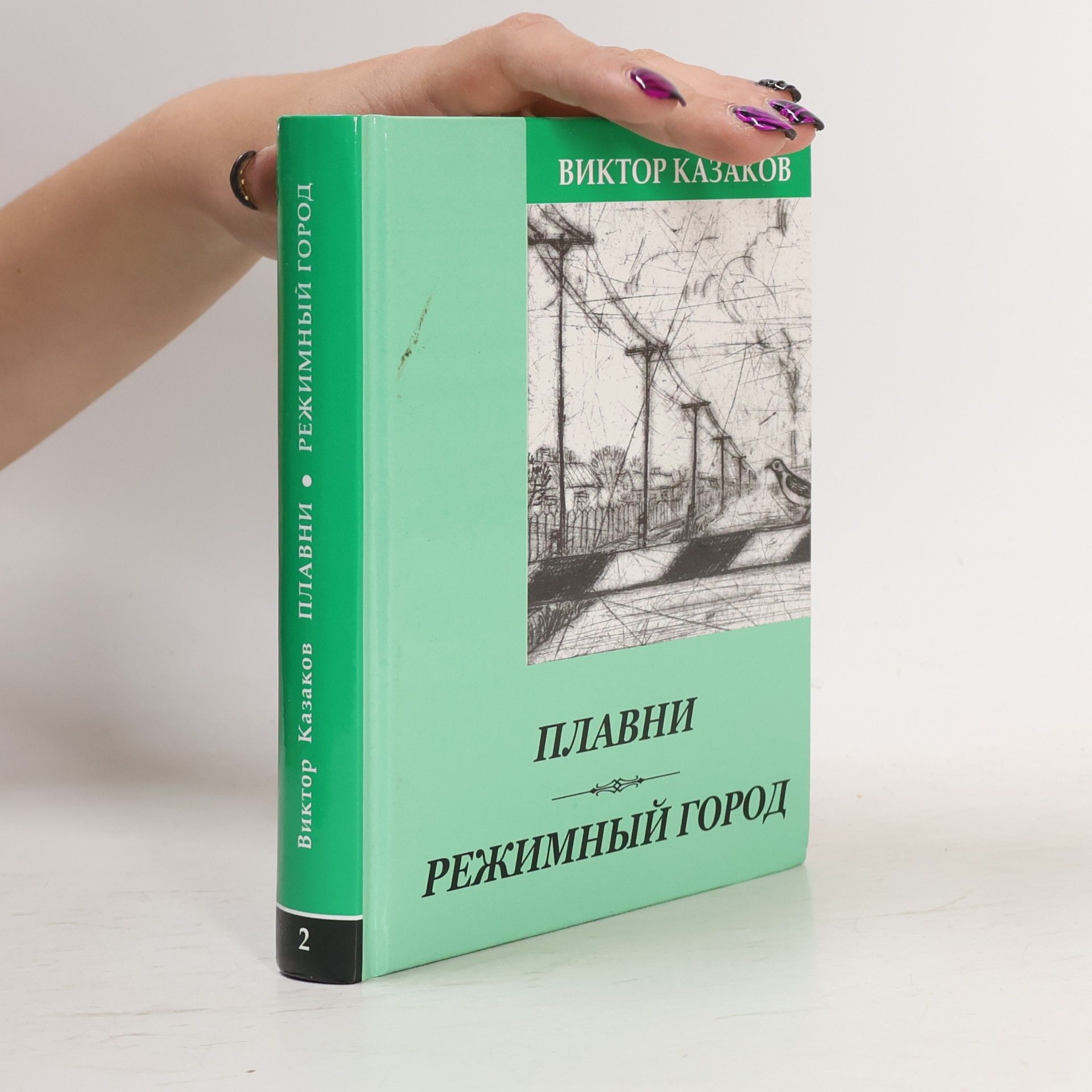 Плавни. Режимный город 2