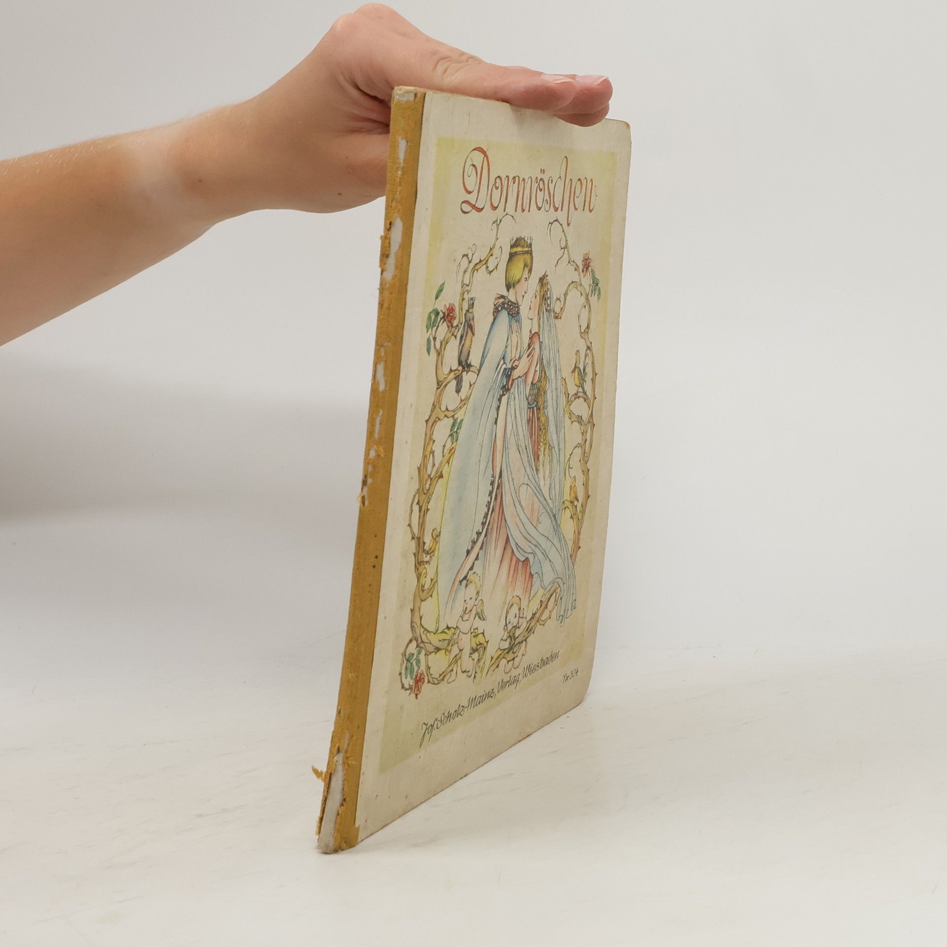 Collectif d'auteurs Dornröschen