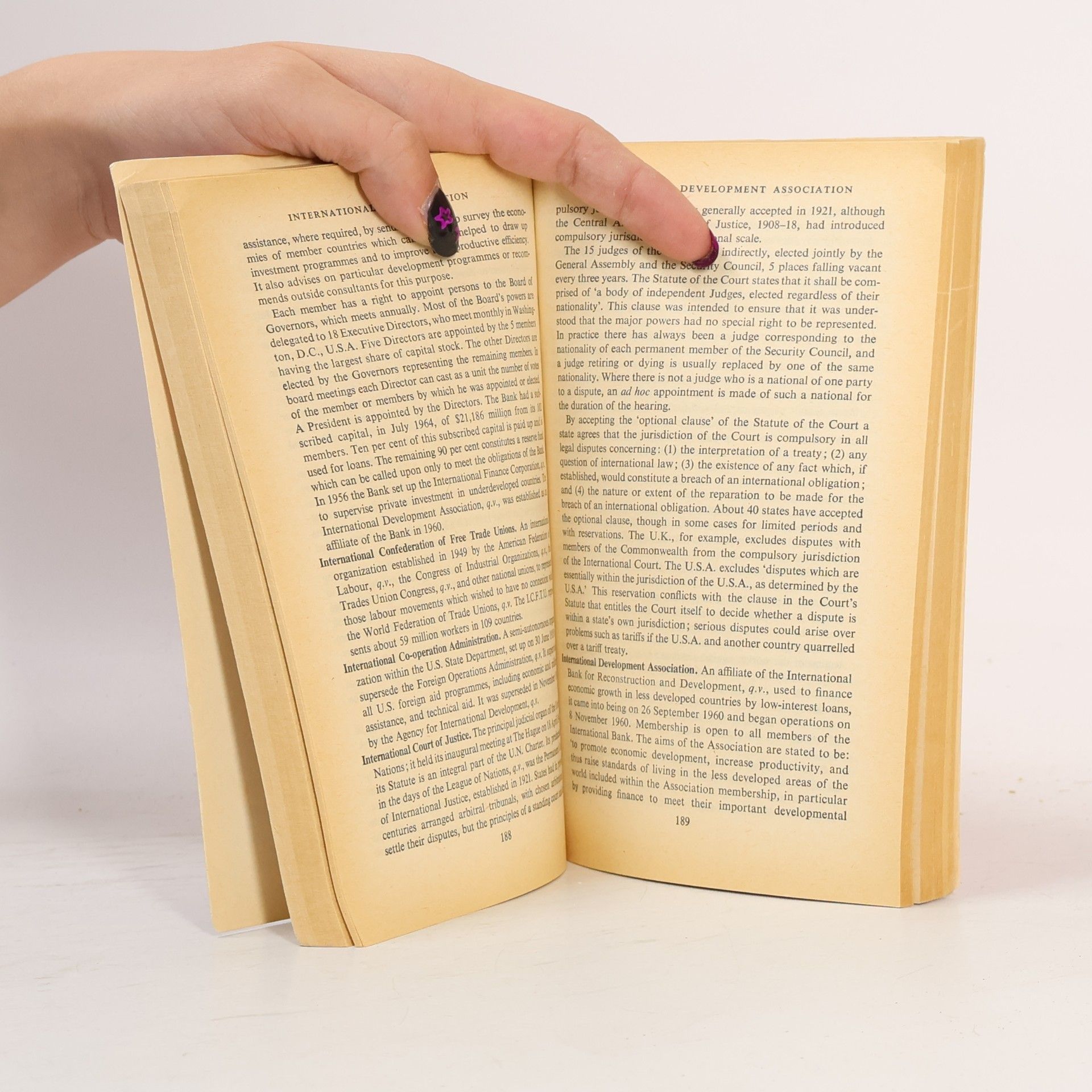 Florence Elliot A Dictionary of Politics
