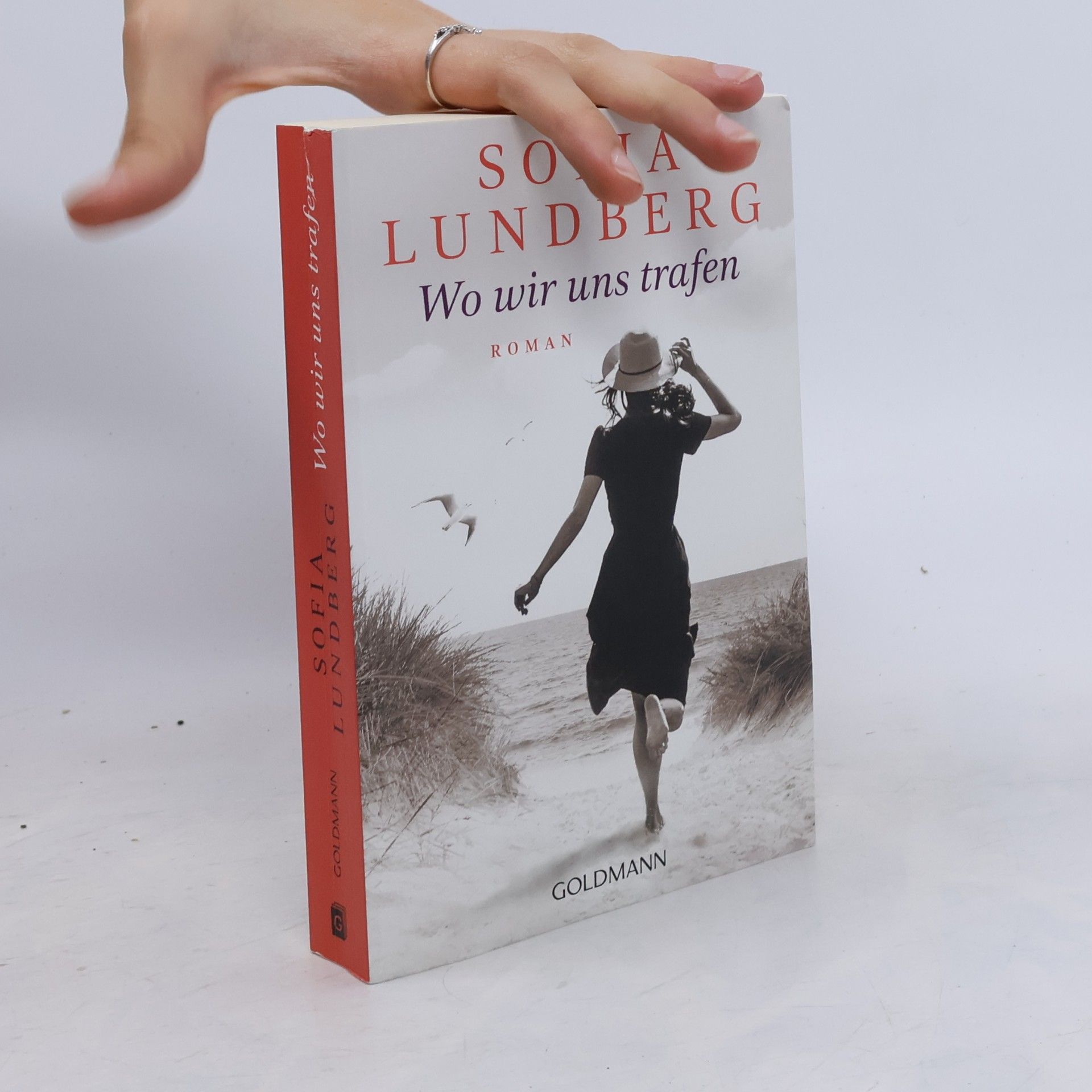 Sofia Lundberg Wo wir uns trafen