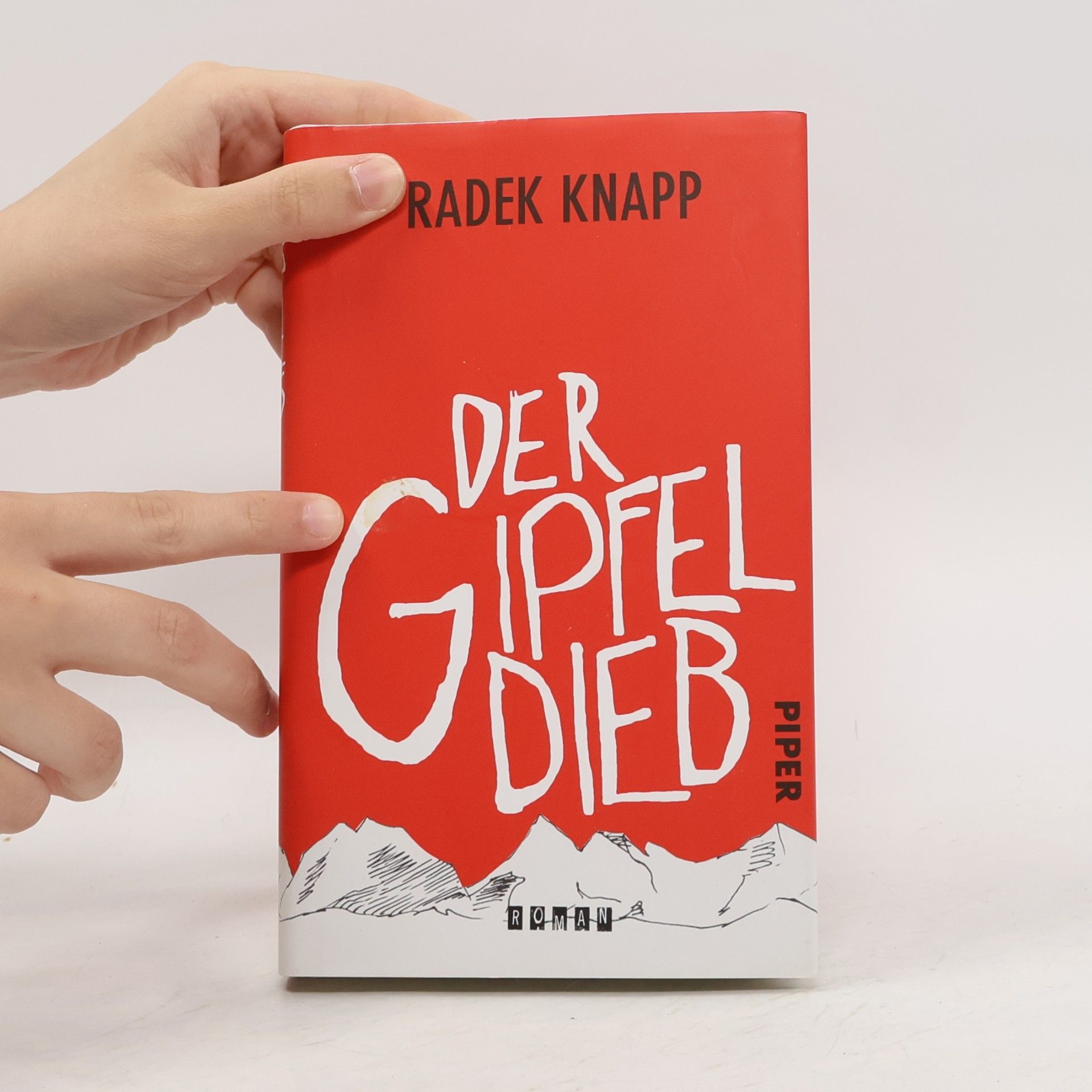 Radek Knapp Der Gipfeldieb