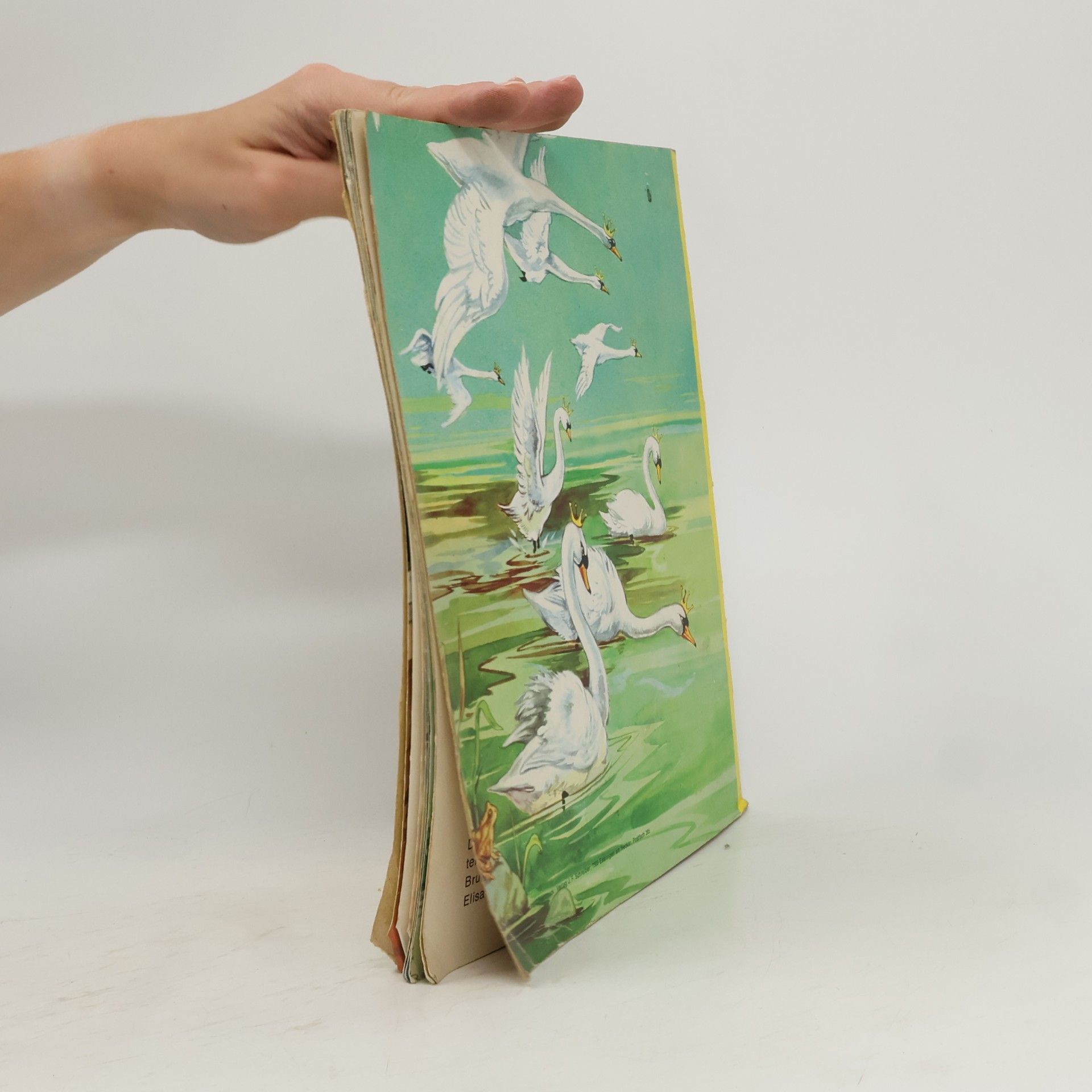 Hans Christian Andersen Die wilden Schwäne