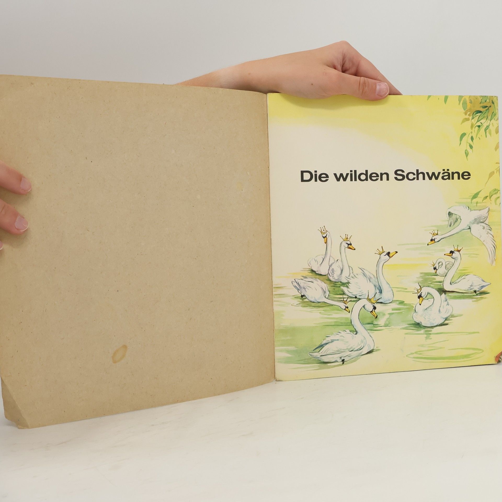 Hans Christian Andersen Die wilden Schwäne