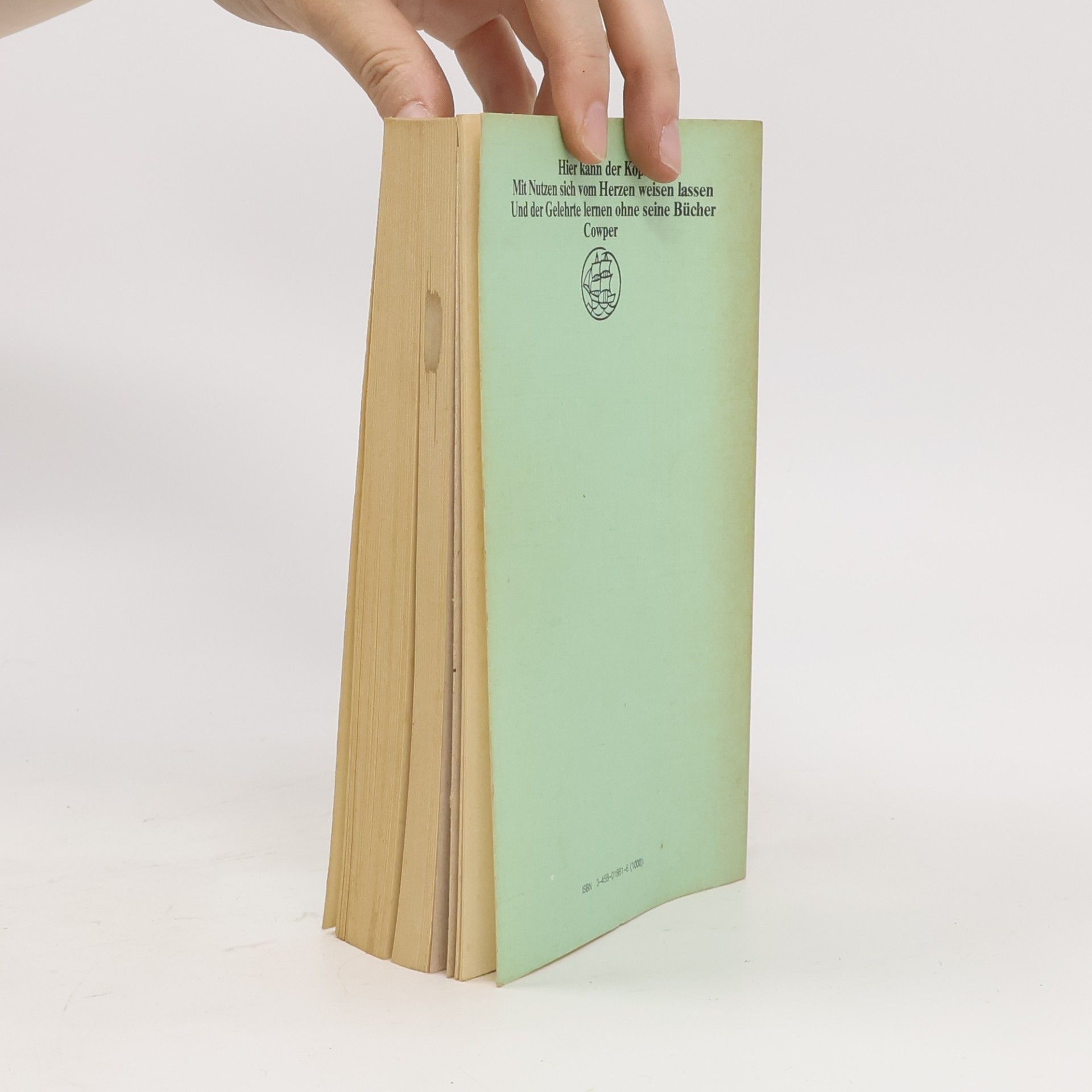 James Fenimore Cooper Insel Taschenbuch - 181: Der Pfadfinder