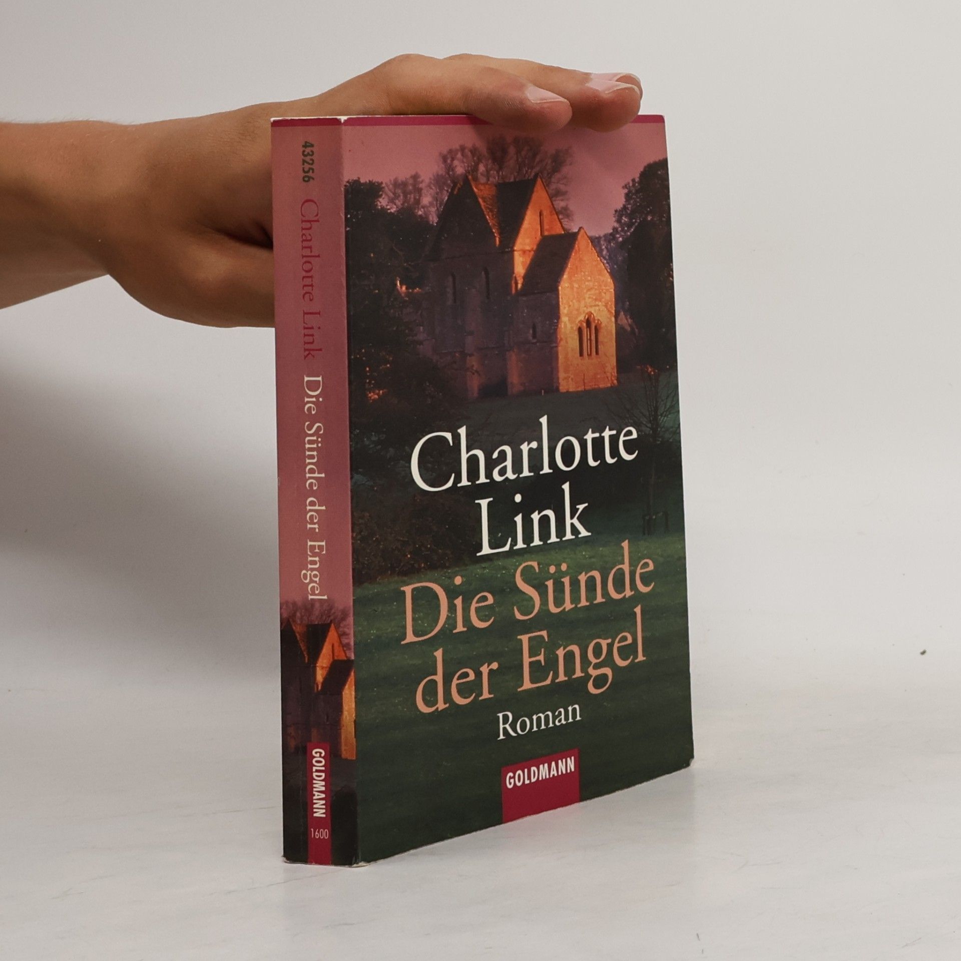 Charlotte Link Die Sünde der Engel
