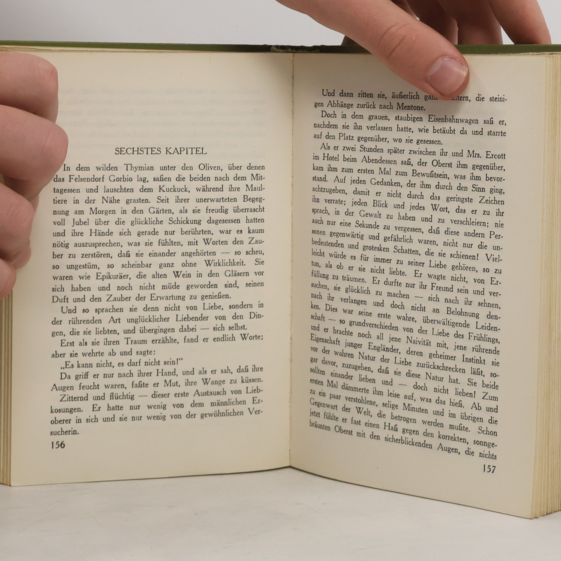 John Galsworthy Die dunkle Blume