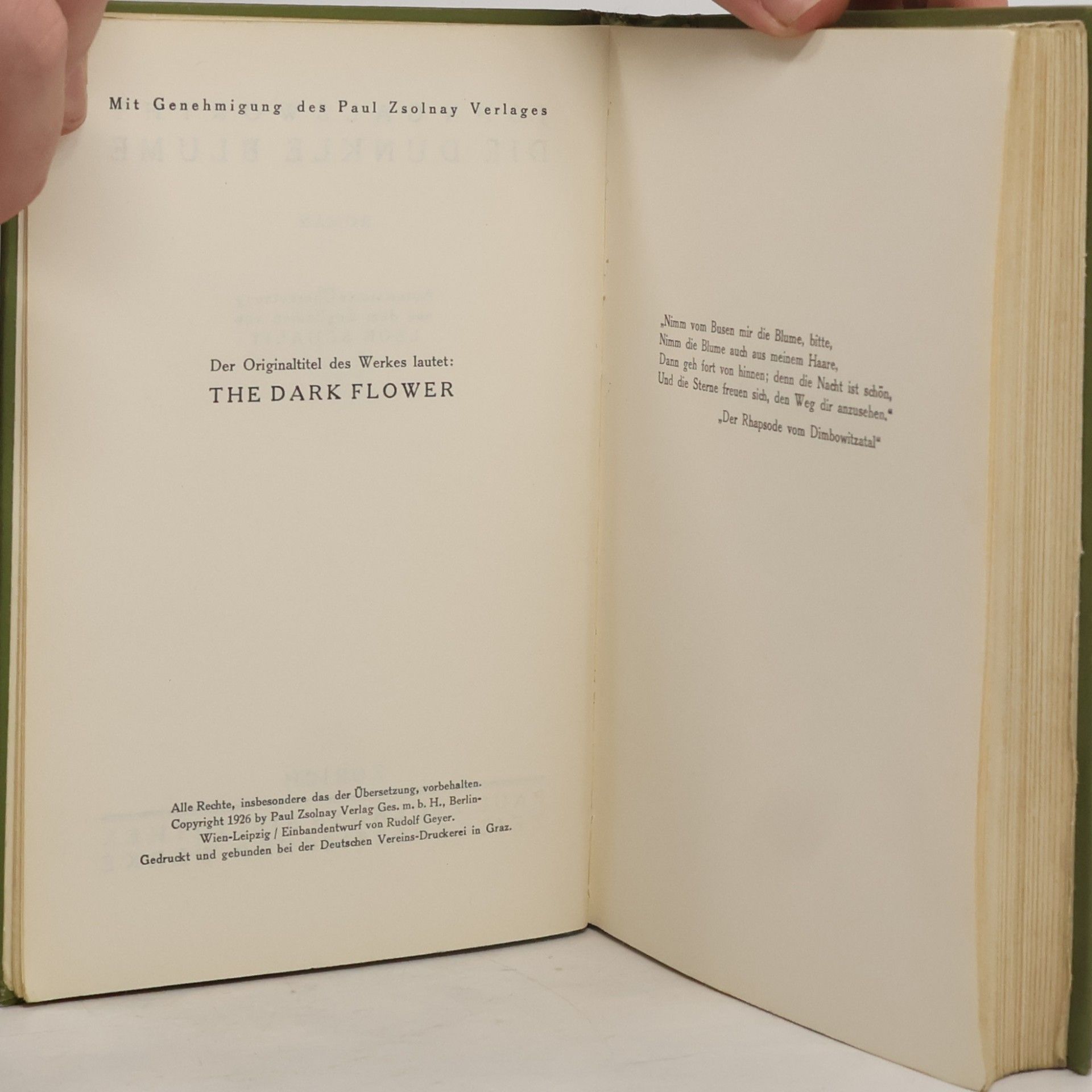 John Galsworthy Die dunkle Blume