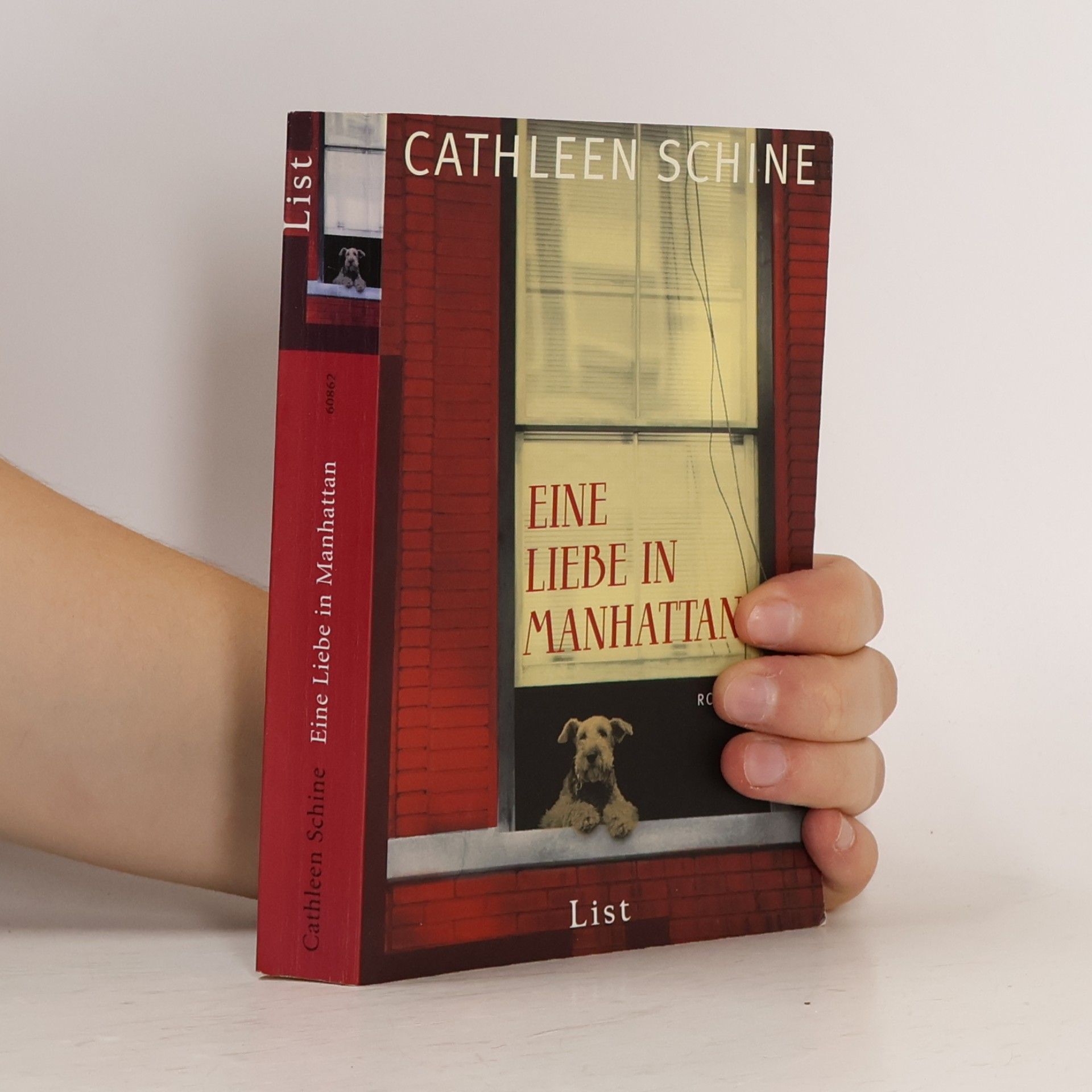 Cathleen Schine Eine Liebe in Manhattan