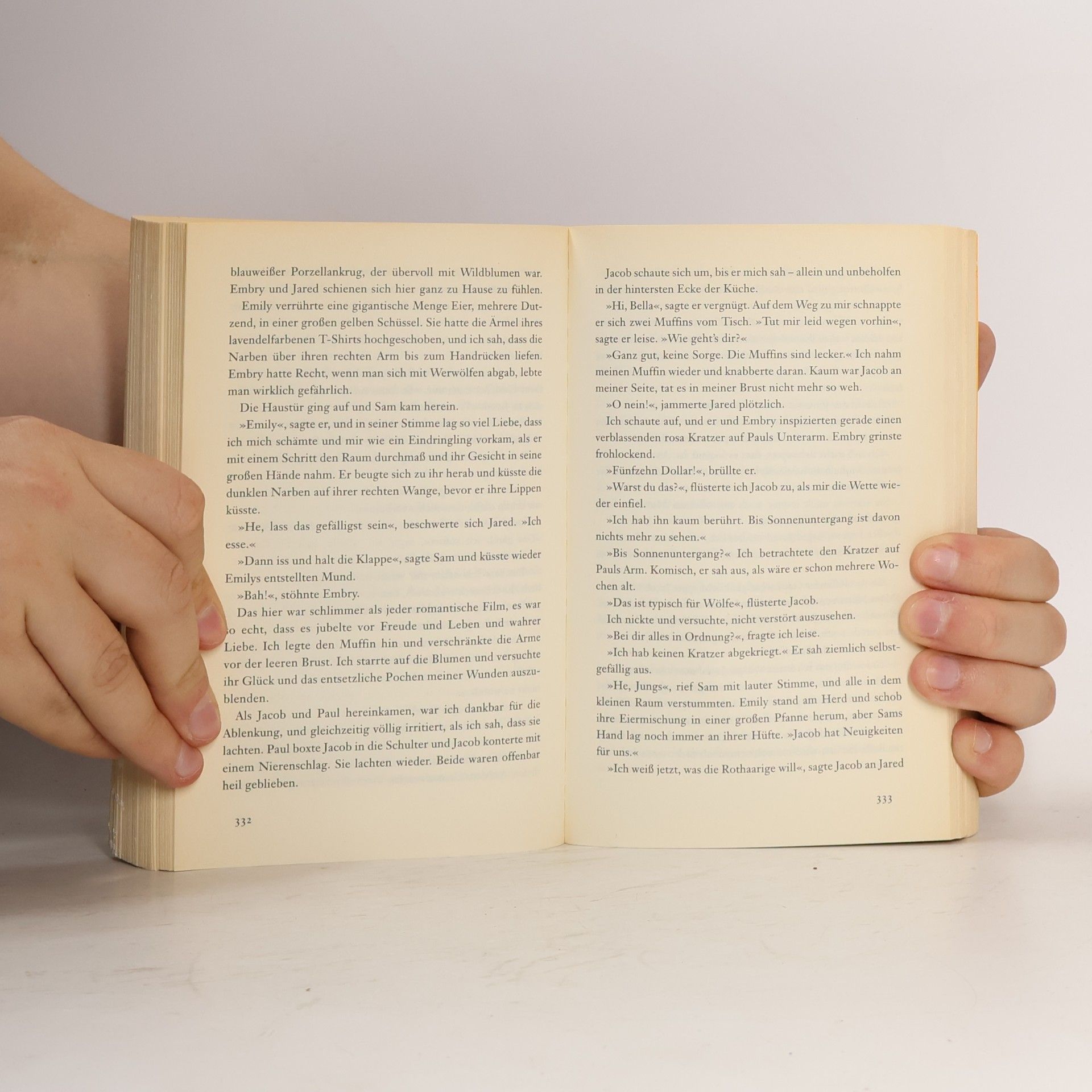 Stephenie Meyer Biss zur Mittagsstunde