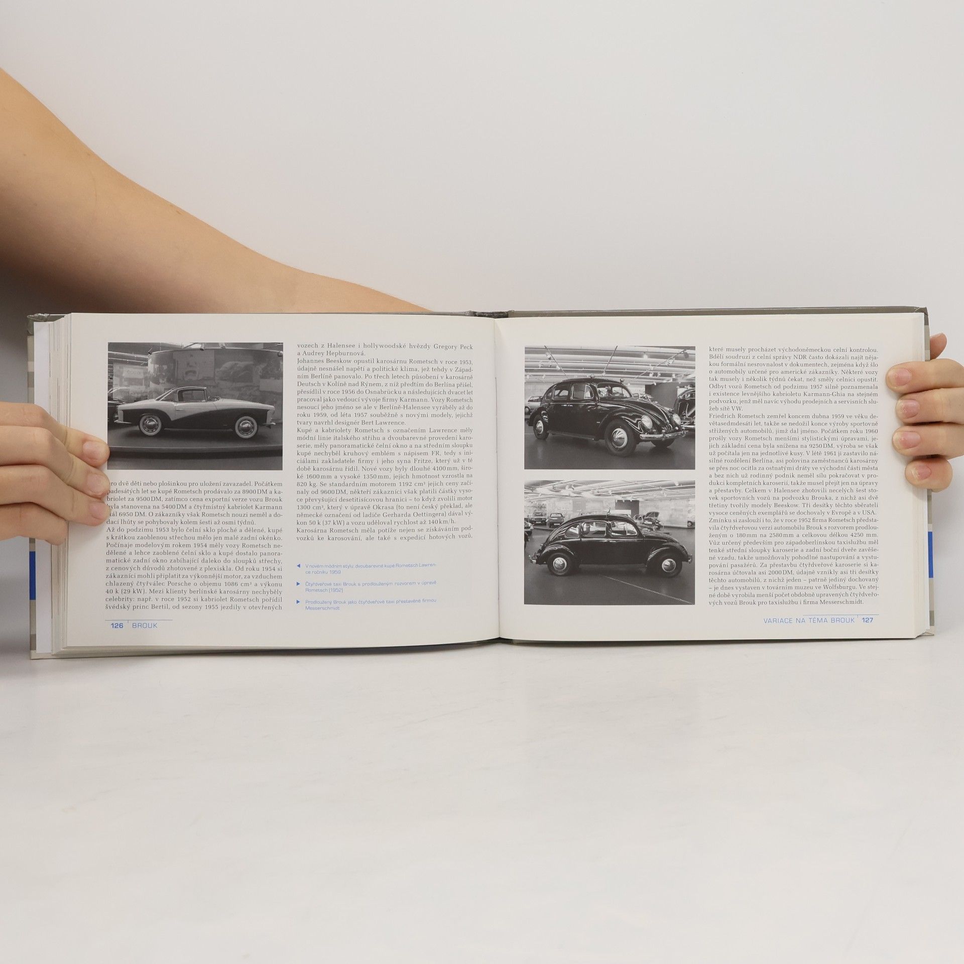 Jan Tuček Volkswagen Brouk : historie, vývoj, technika, sport