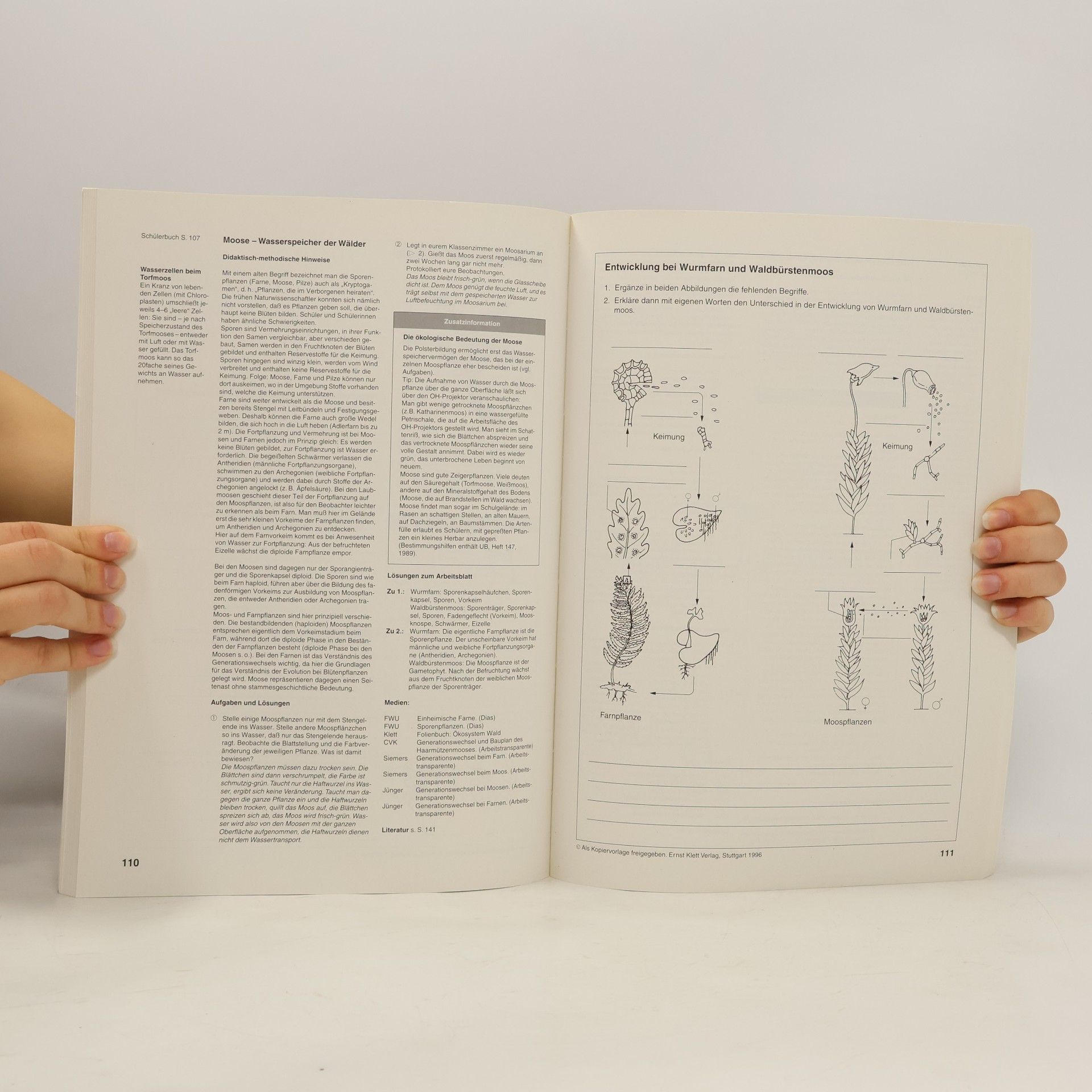 Friedrich Bay Umwelt: Biologie