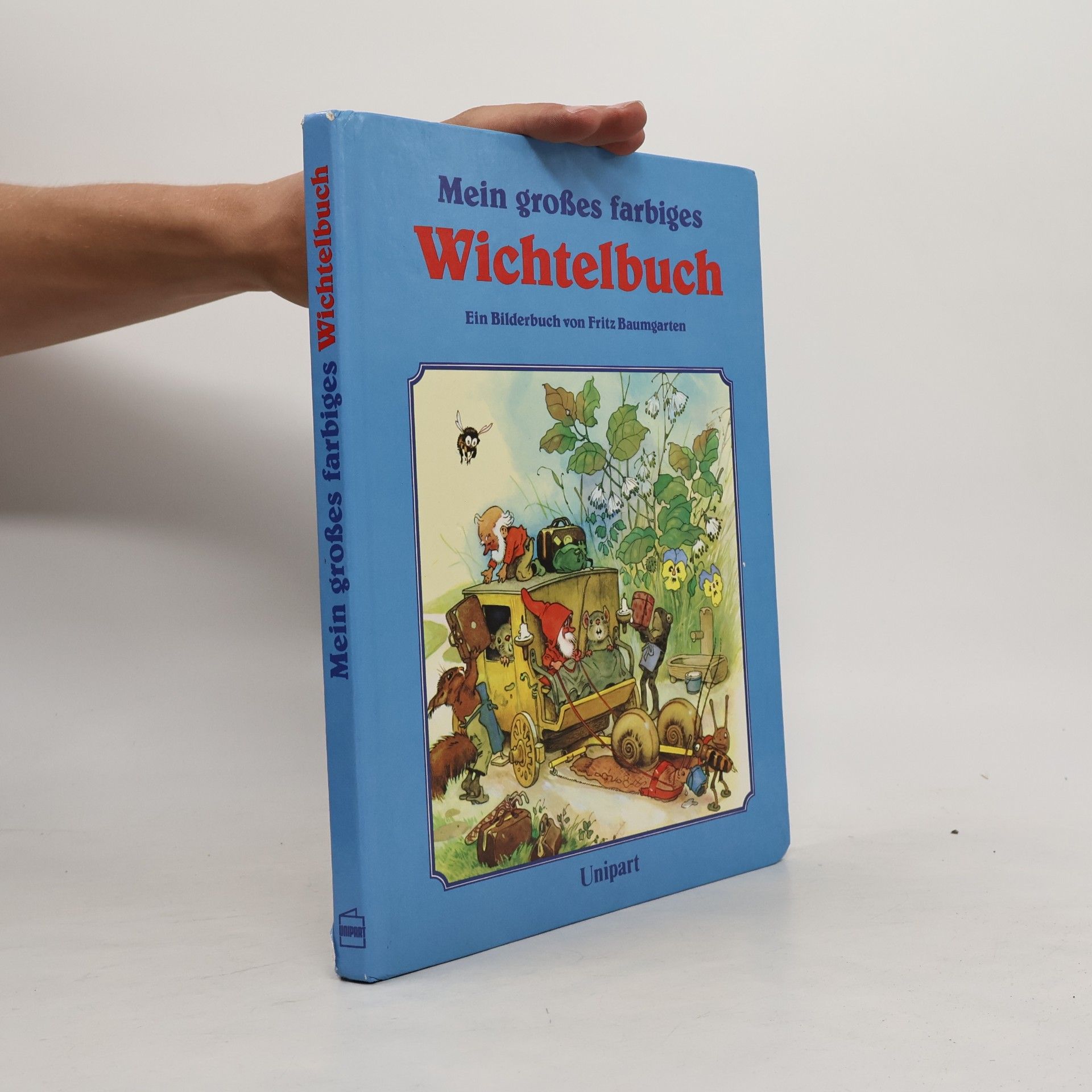 Autorenkollektiv Mein grosses farbiges Wichtelbuch