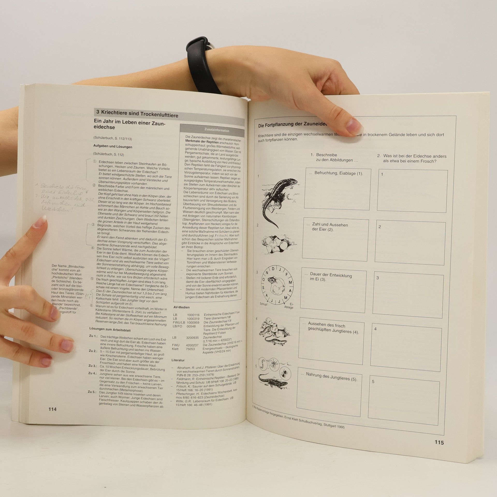Friedrich Bay Umwelt: Biologie 5/6