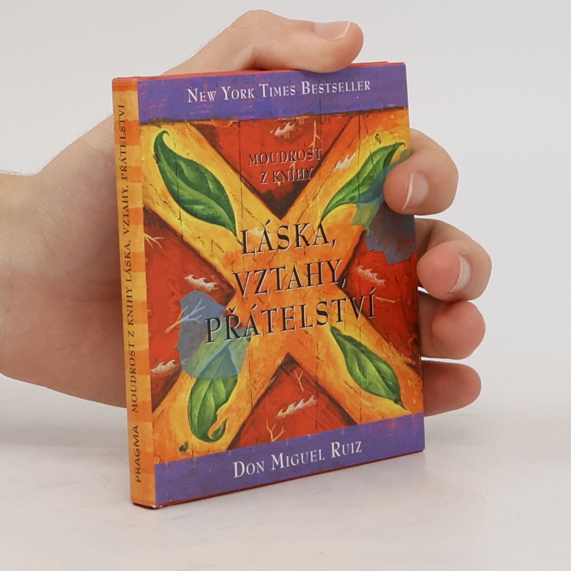 Don Miguel Ruiz Moudrost z knihy Láska, vztahy, přátelství
