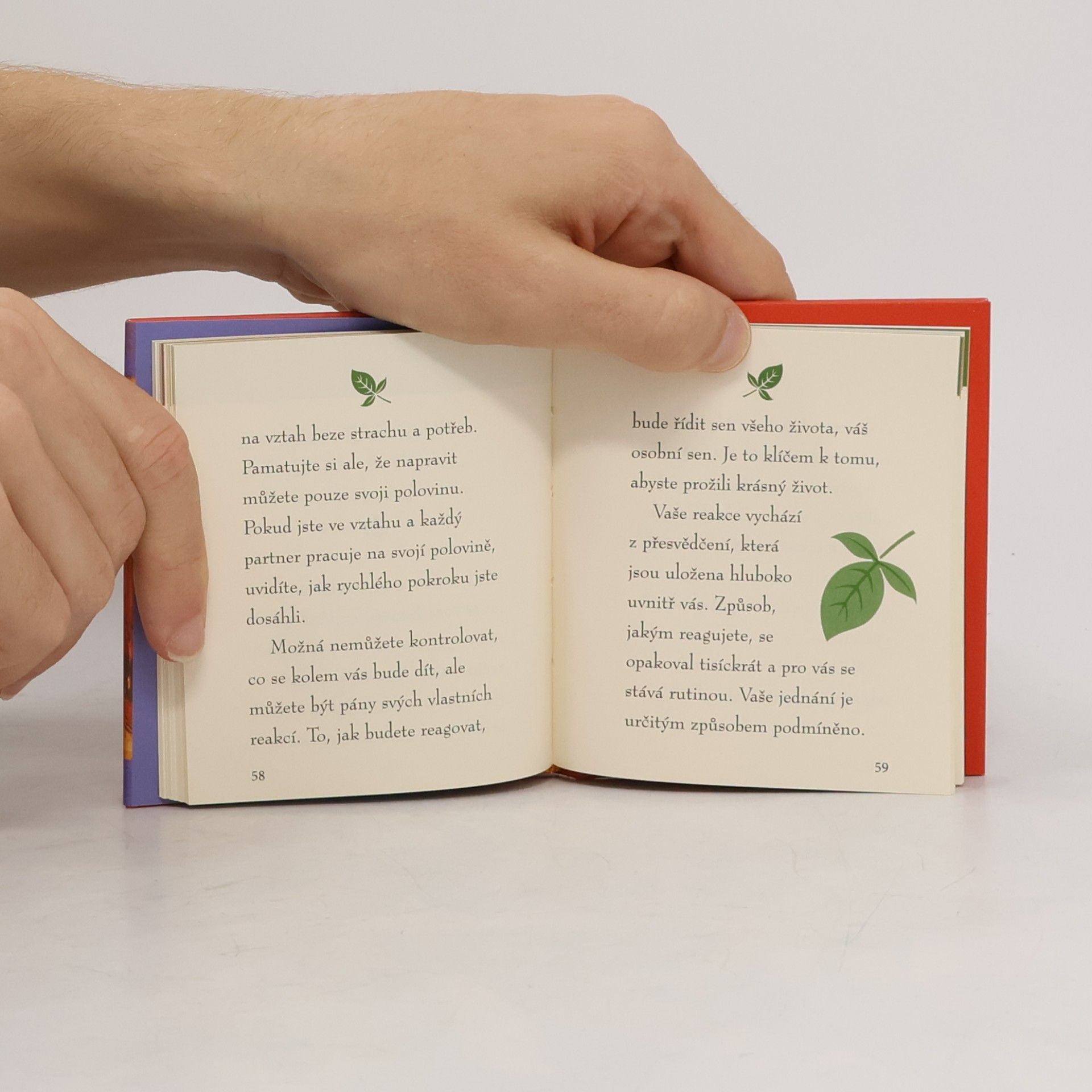 Don Miguel Ruiz Moudrost z knihy Láska, vztahy, přátelství