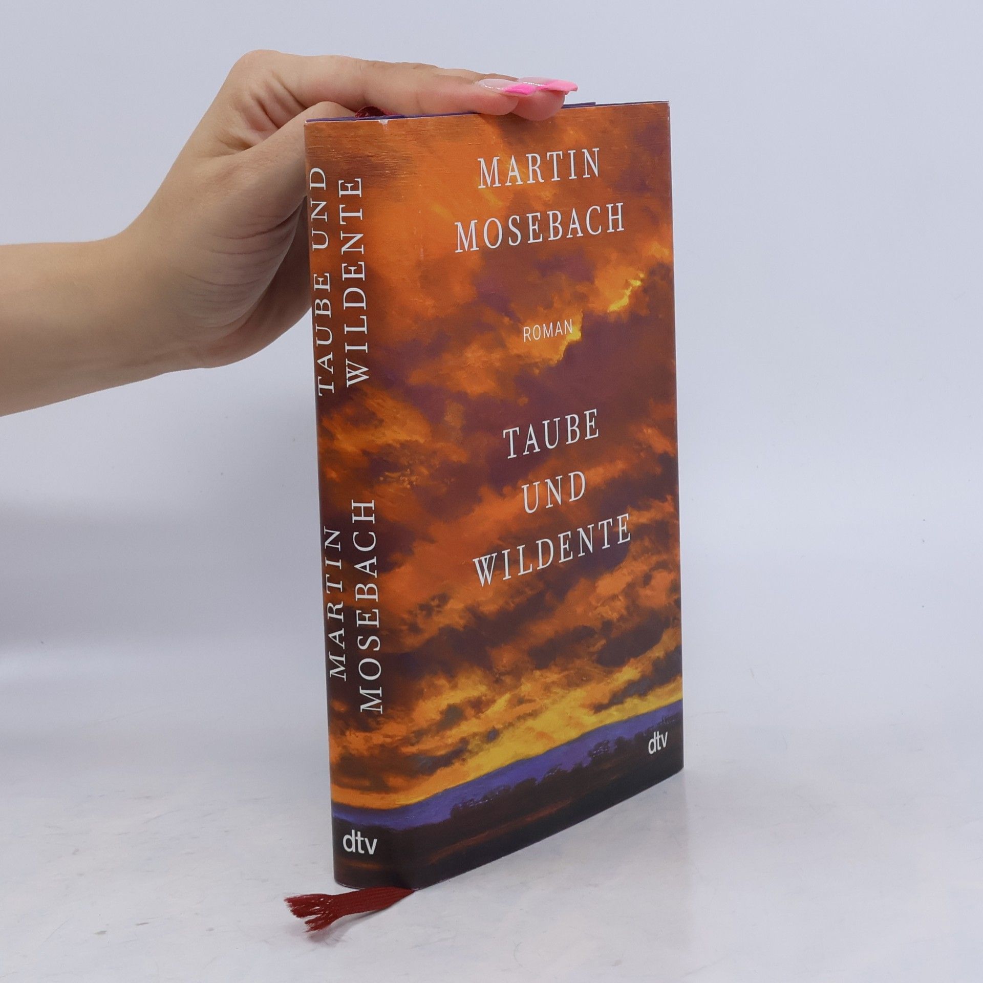 Martin Mosebach Taube und Wildente