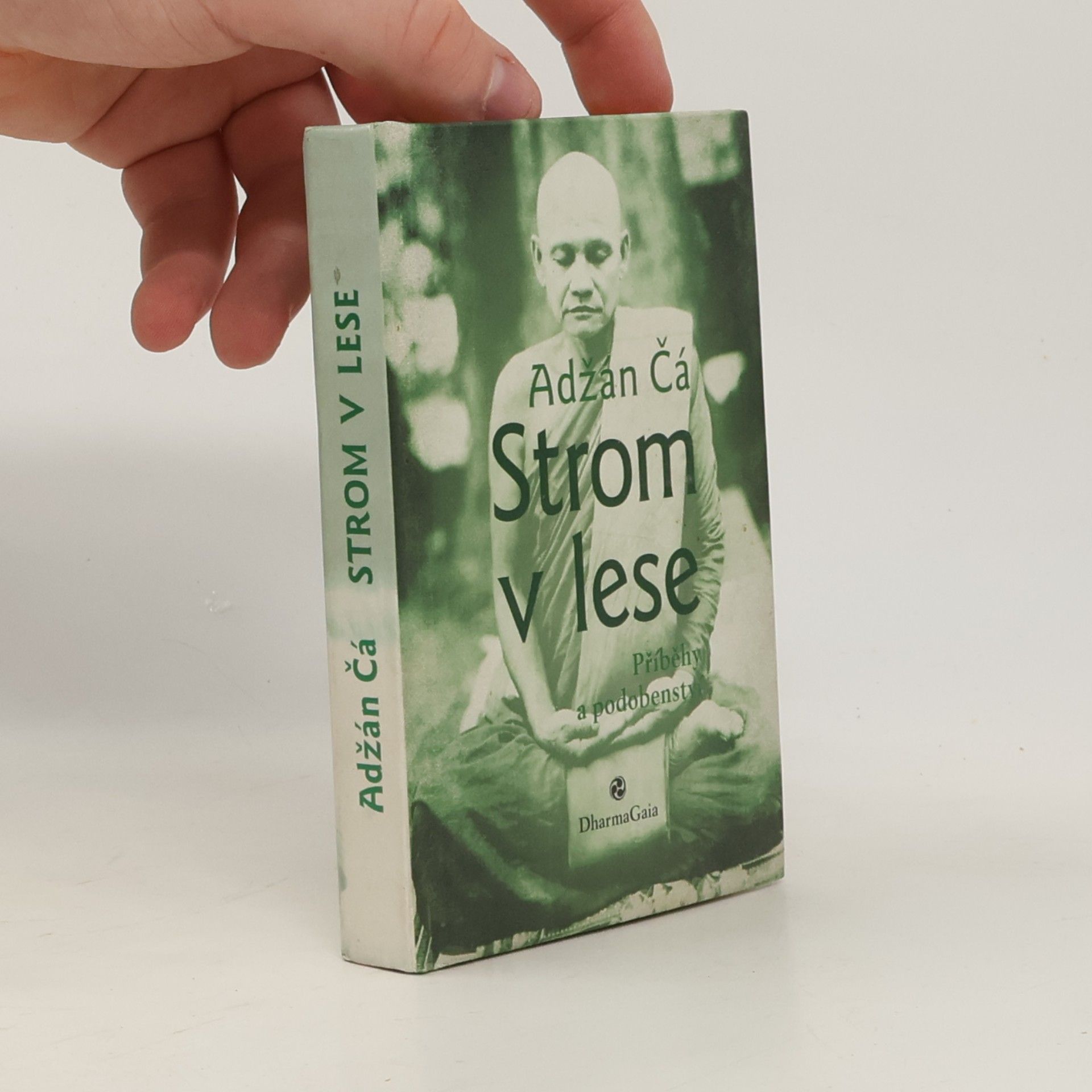 Čá Strom v lese : příběhy a podobenství