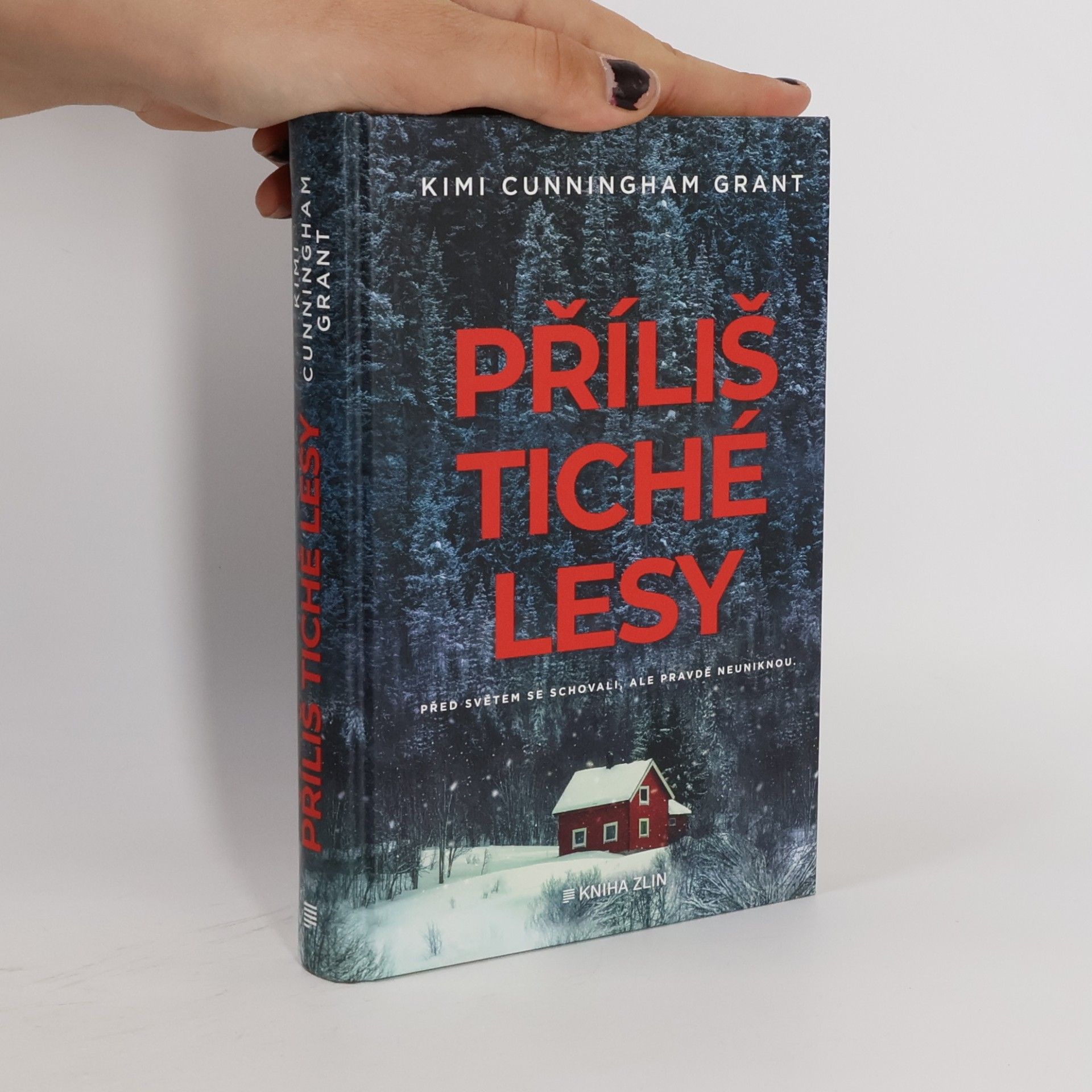 Kimi Cunningham Grant Příliš tiché lesy