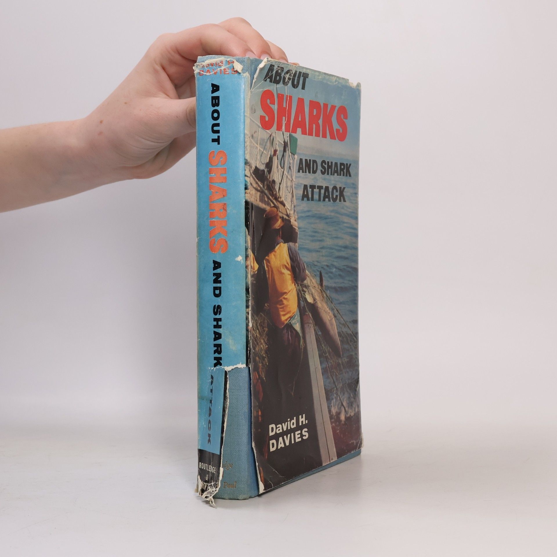 David H. Davies About Sharks and Shark Attack