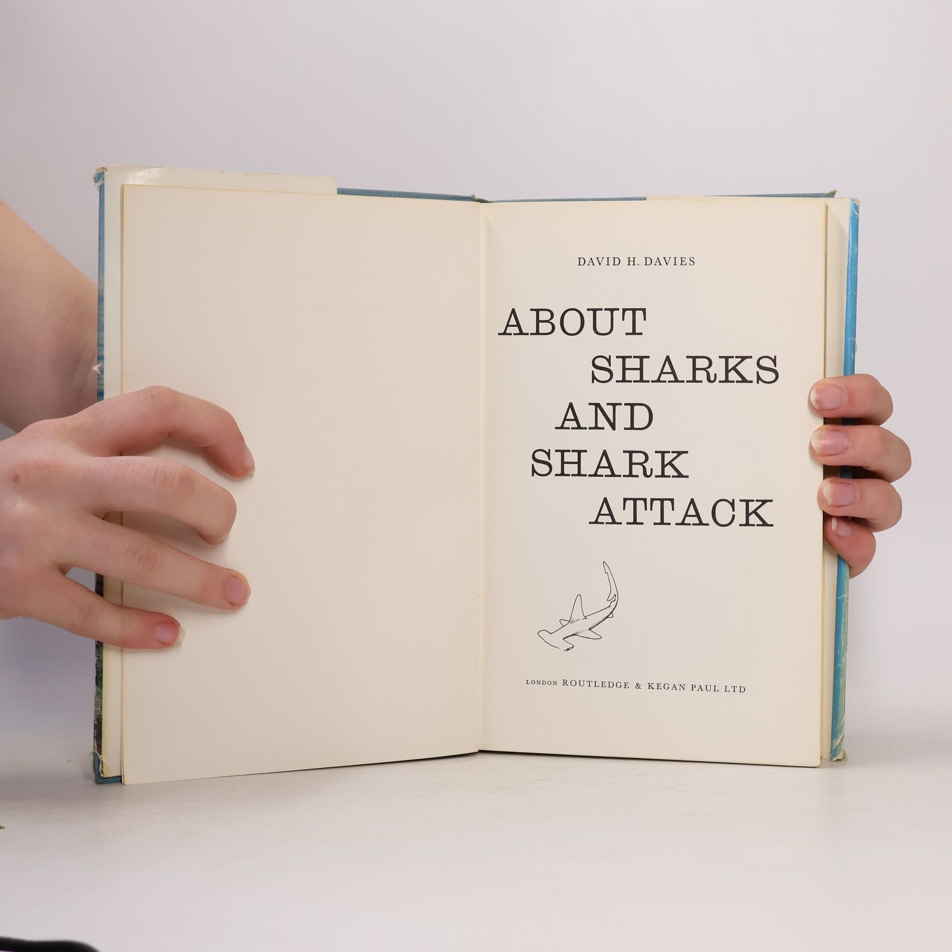David H. Davies About Sharks and Shark Attack