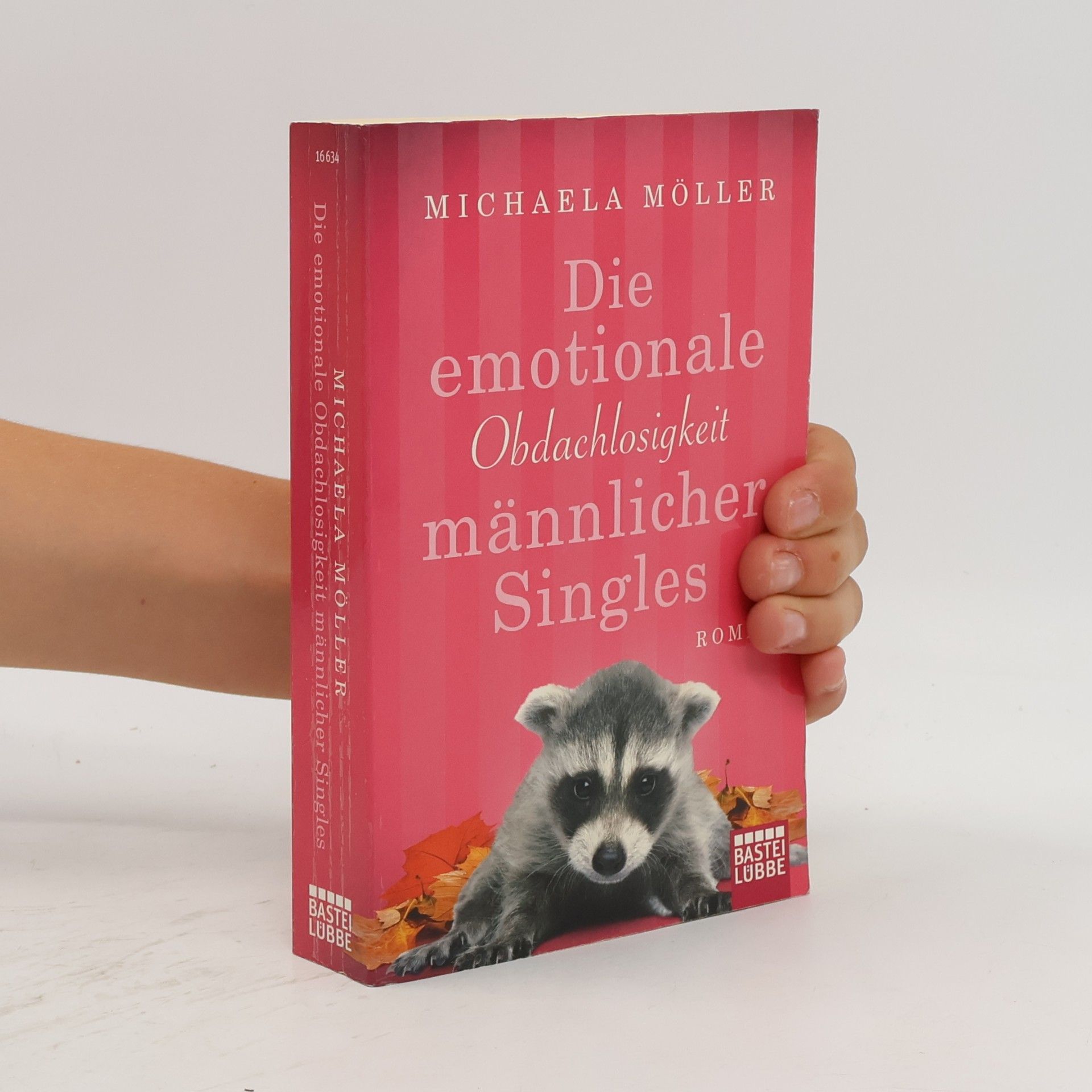 Die emotionale Obdachlosigkeit männlicher Singles