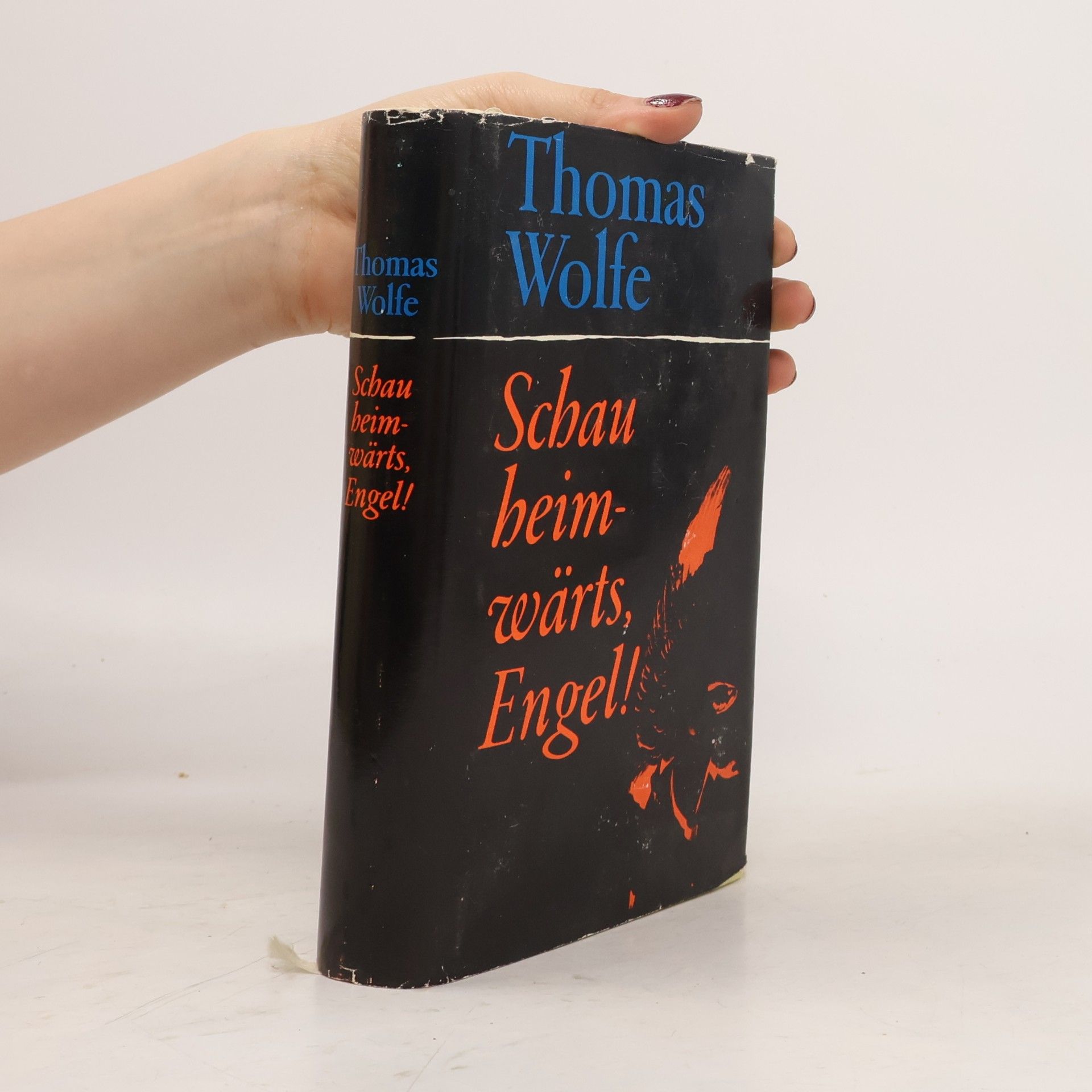 Thomas Clayton Wolfe Schau heimwärts, Engel!